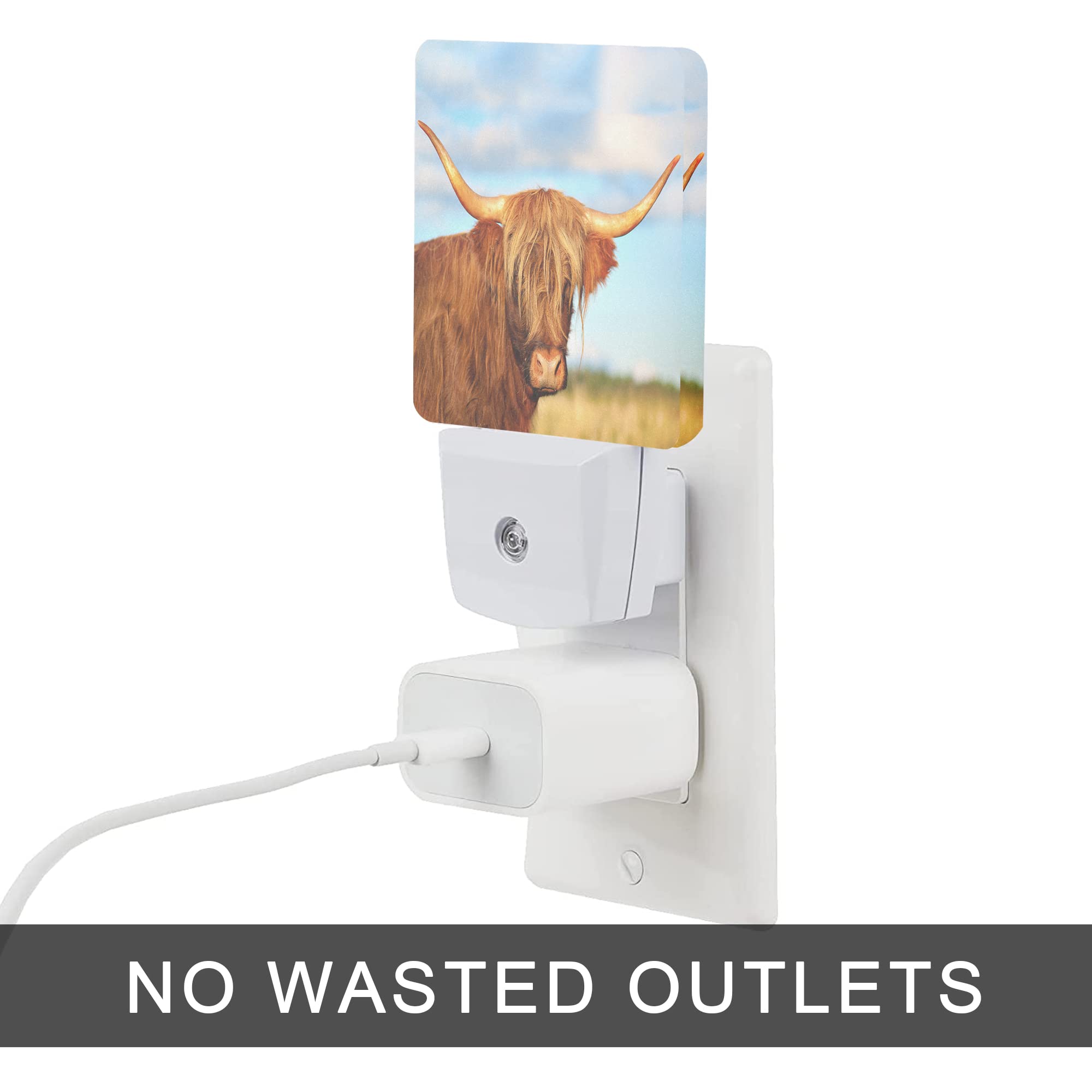 Oeaskly Highland Cow Night Light,Cows Plug-In Night Lights With Dusk-To-Dawn Sensor For Bedroom, Bathroom And Living Room 0.5W S
