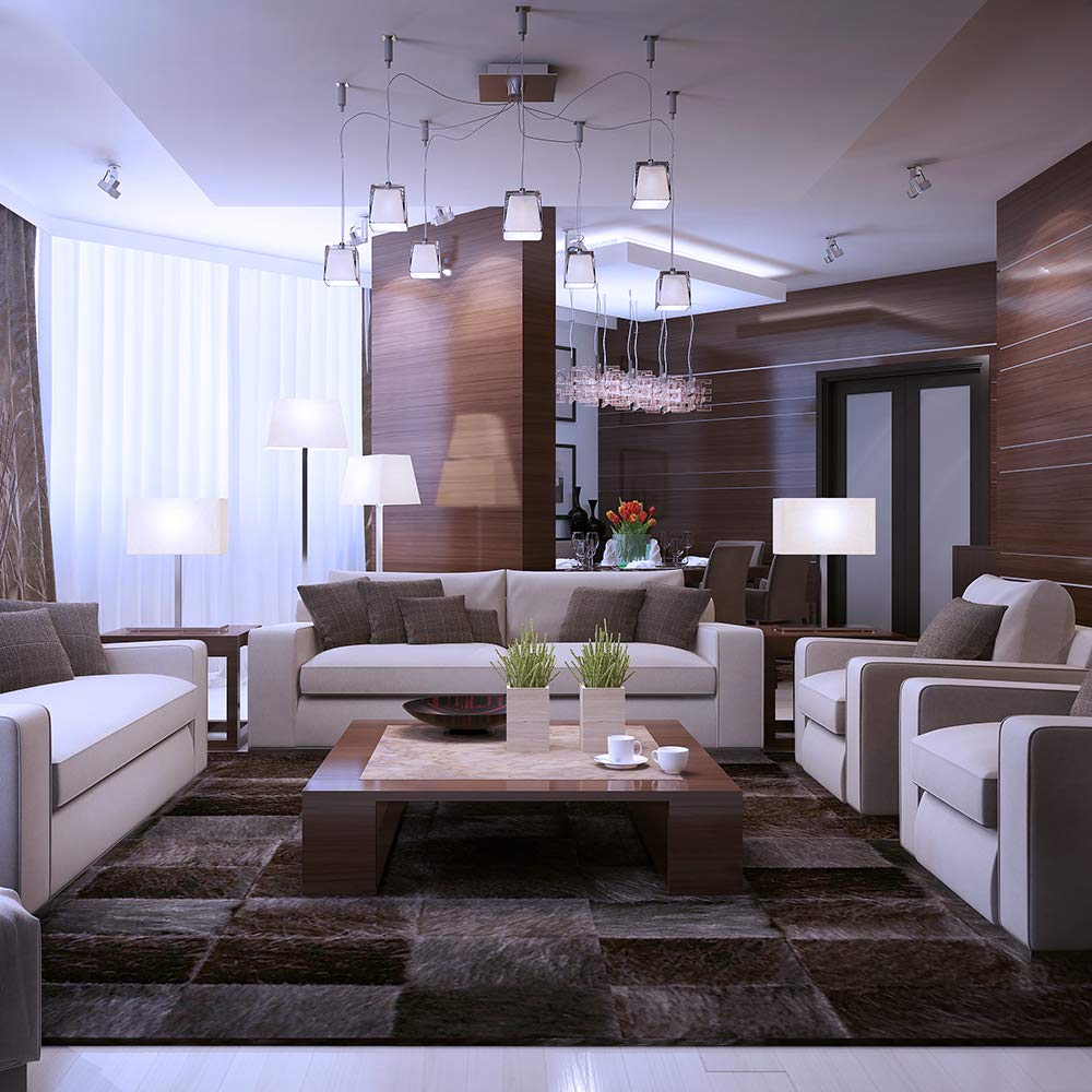 Feit Electric A19 100W Equivalent Led Light Bulbs, Dimmable, 5000K Daylight, 1600 Lumens, 22 Year Lifetime, E26 Base, Cri 90, Ul