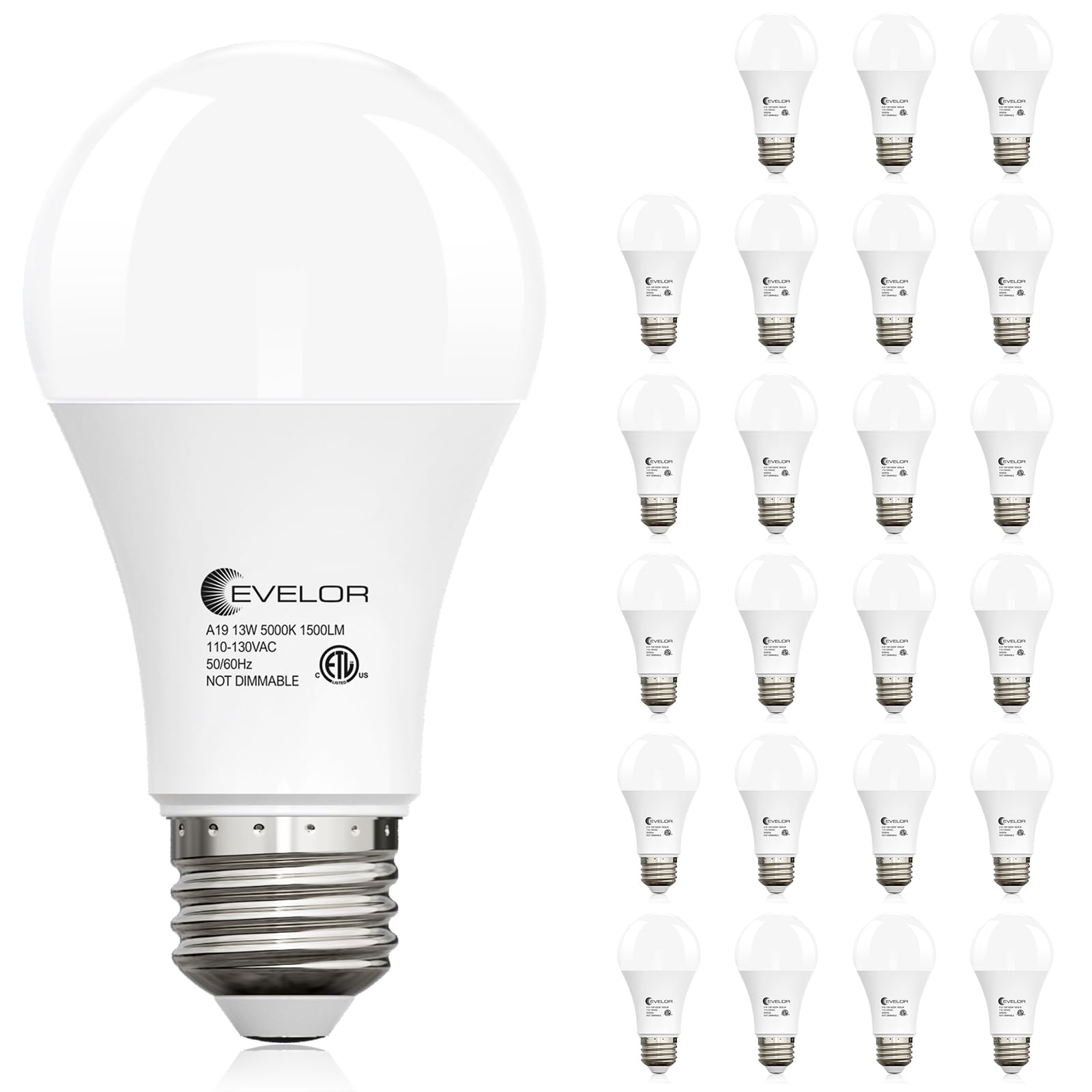 evelor 24-Packs A19 LED Light Bulbs,100 Watt Equivalent Daylight 5000K Bright Bulbs Efficient 13W,1500 Lumens E26 Base, Non-Dimm