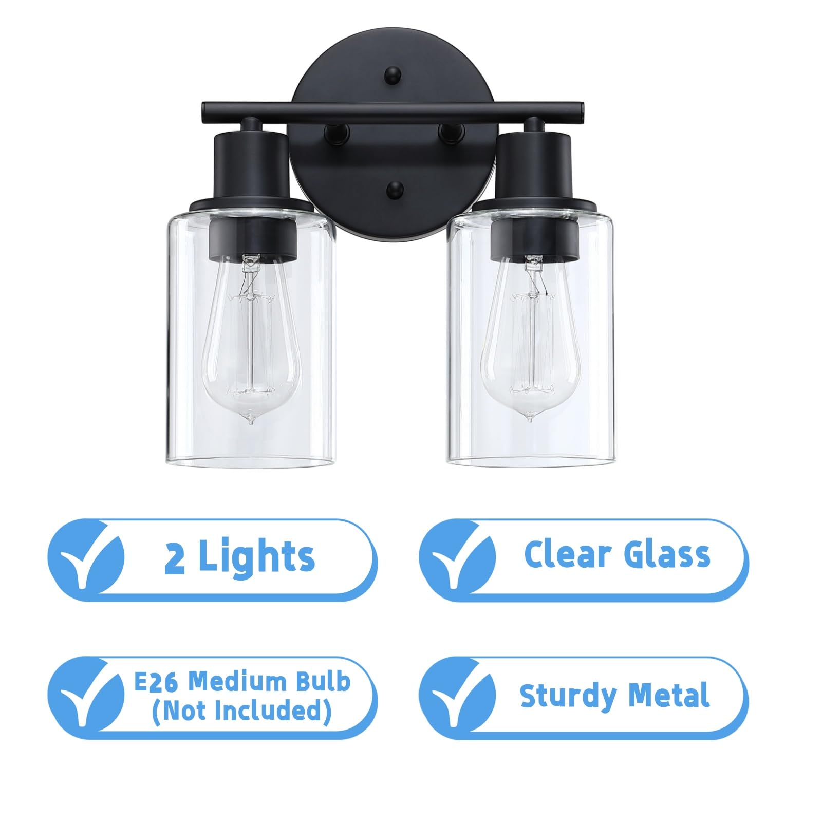 WISBEAM 2-Light Bathroom Vanity Light, Black, Glass Shade, Model WS-VNT003