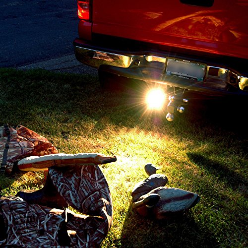 Blazer International C8020 Back-Up/Utility Light For Trucks And Suvs