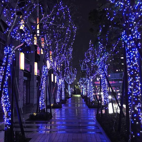 kemooie 500 LED Christmas Lights, 164FT, 8 Lighting Modes, Blue and White, Model HB-500COI, for Outdoor Decorations