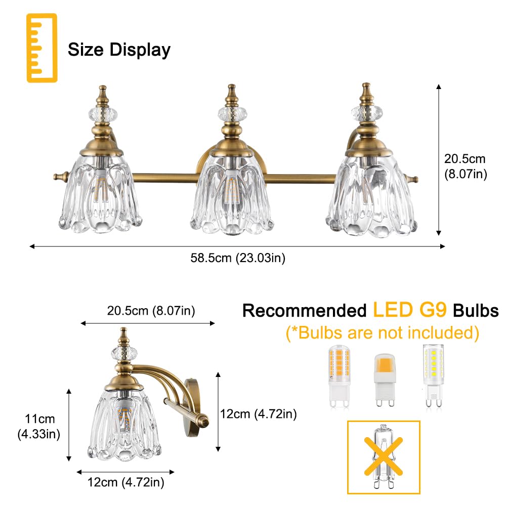 Ditoon Brushed Gold Bathroom Vanity Light, 3 Light Fixture, Flower Glass Shade, Model DX230004V