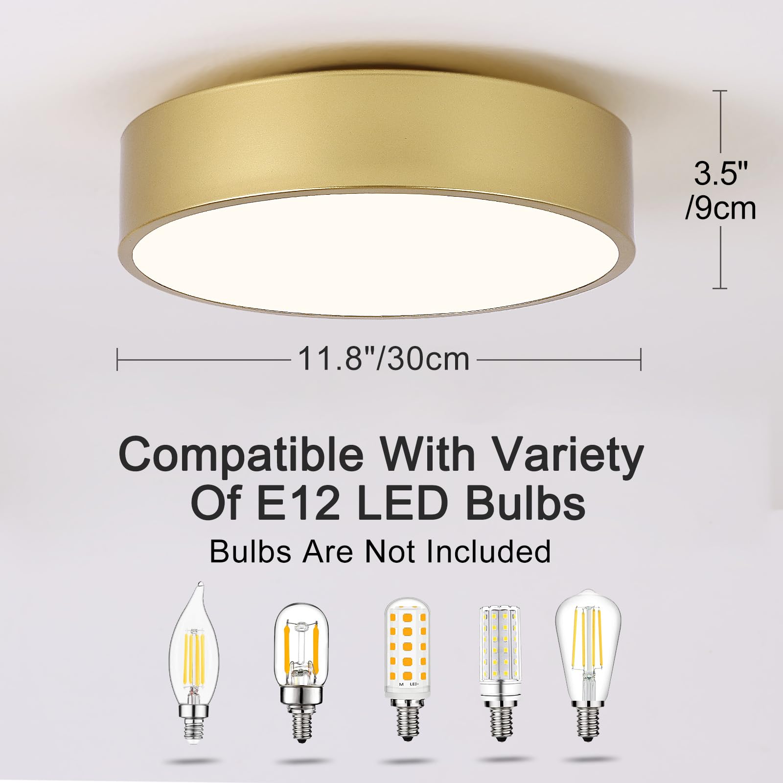 POLITAMP Modern Gold Flush Mount Ceiling Light, 2-Light Acrylic Shade, 11.8", Contemporary Design for Hallway, Foyer, Kitchen