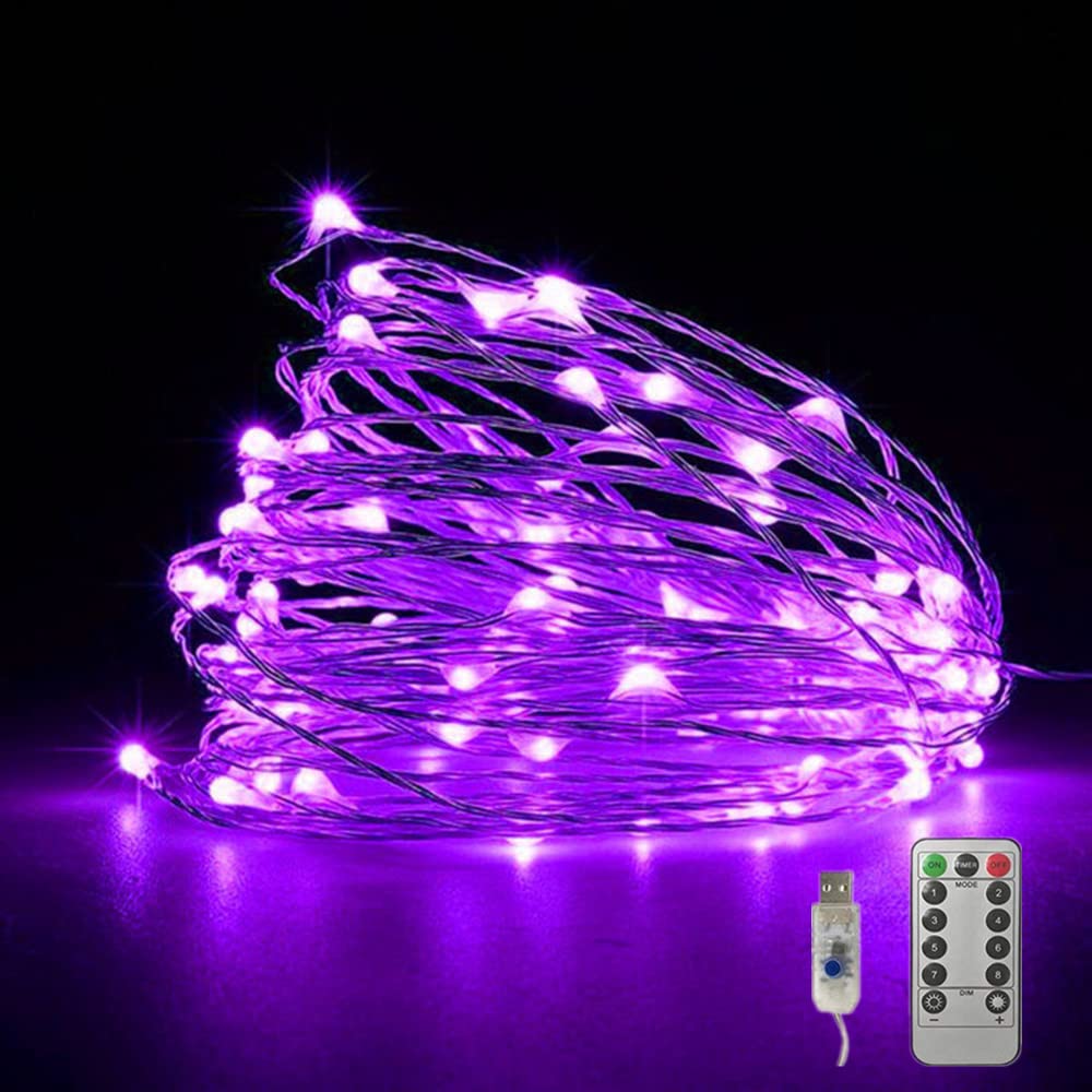 Fantasee Copper Wire String Lights USB Powered LED Fairy Lights 8 Modes with Timer Remote Control for Home Bedroom Birthday Party Wedding Christmas Festival Decor (32.8ft 100leds  Warm White)