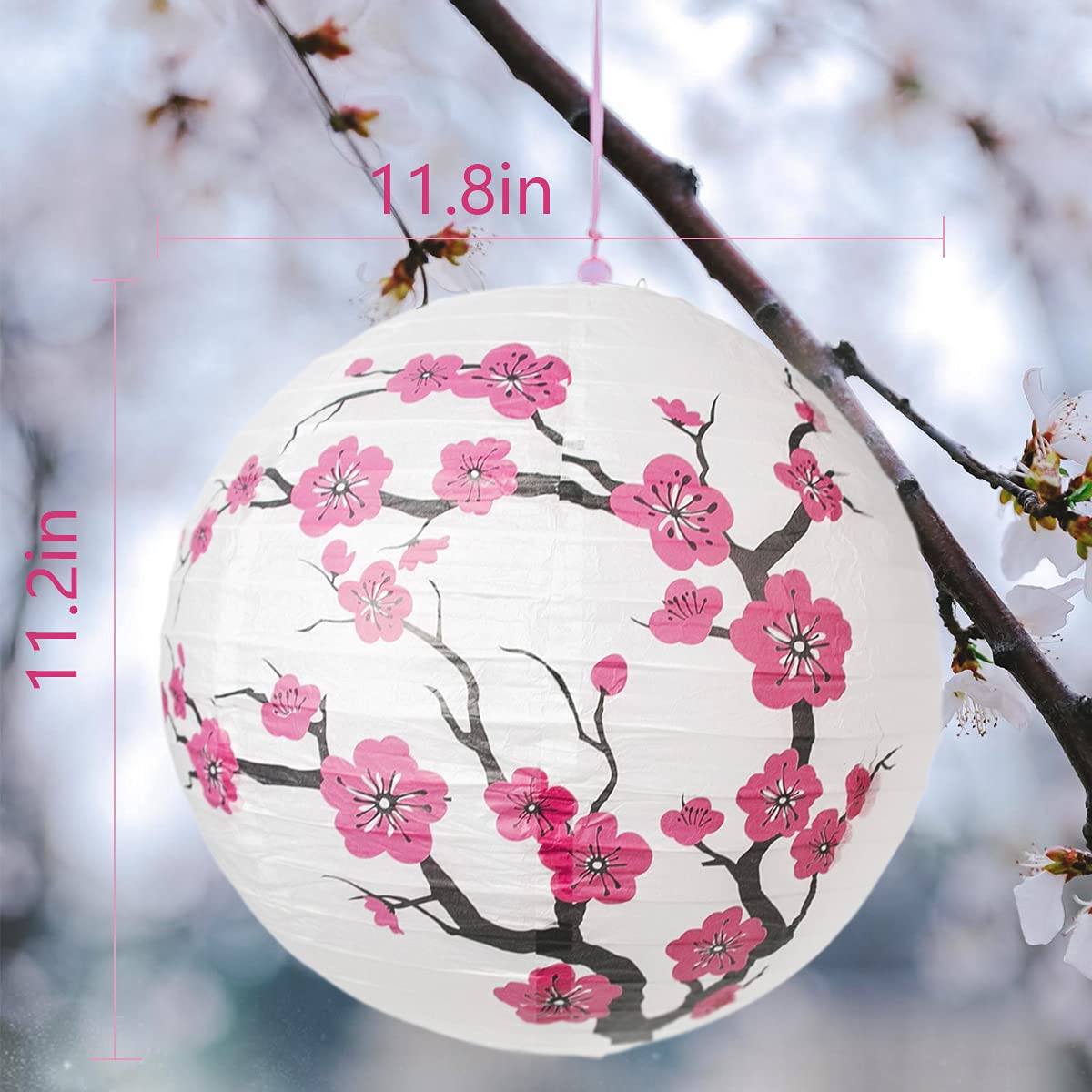 5Pcs Chinese Japanese Cherry Design Paper Lamp For Shade And 5Pcs Silk Folding Hand Fan For Church Wedding Gift Party Favors Diy Decoration