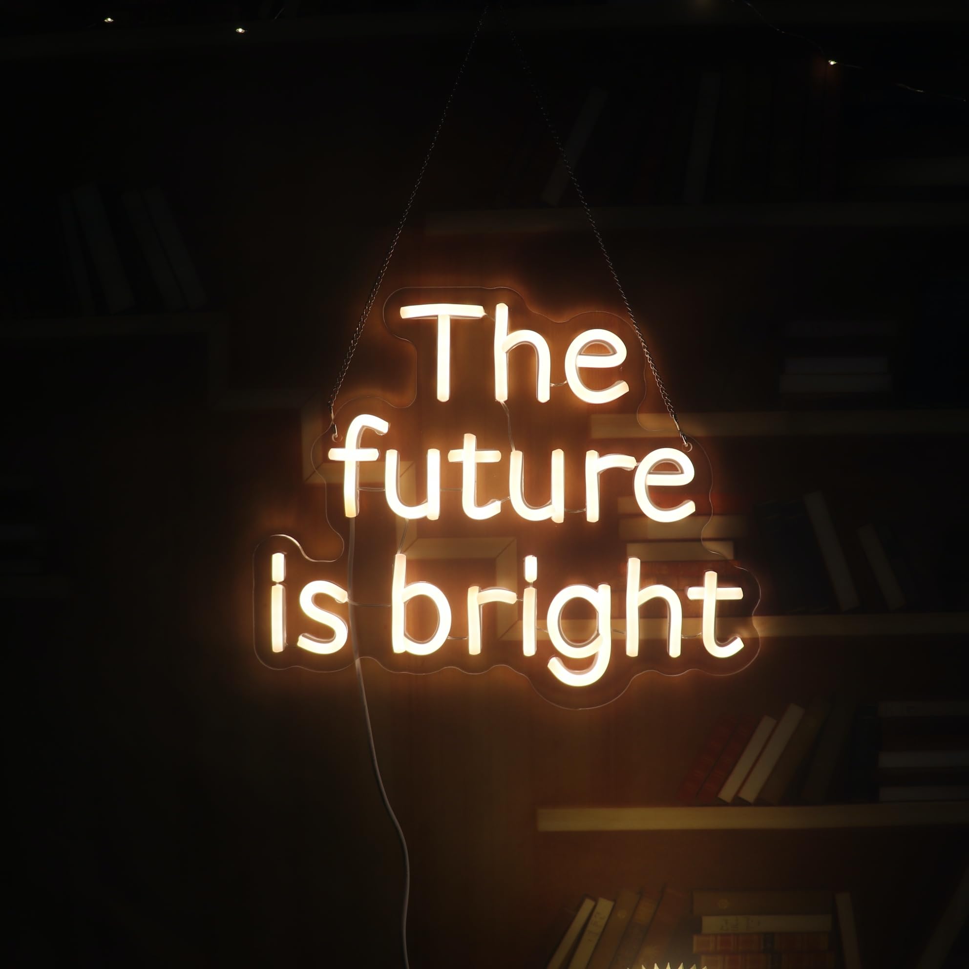 The Future Is Bright Neon Sign  Positive Quotes Decorative Neon Lights For Home Room Wall Decor  Office Wall Decor Neon Light Sign  Christmas Birthday Gift Thanksgiving Gift(Warm White)