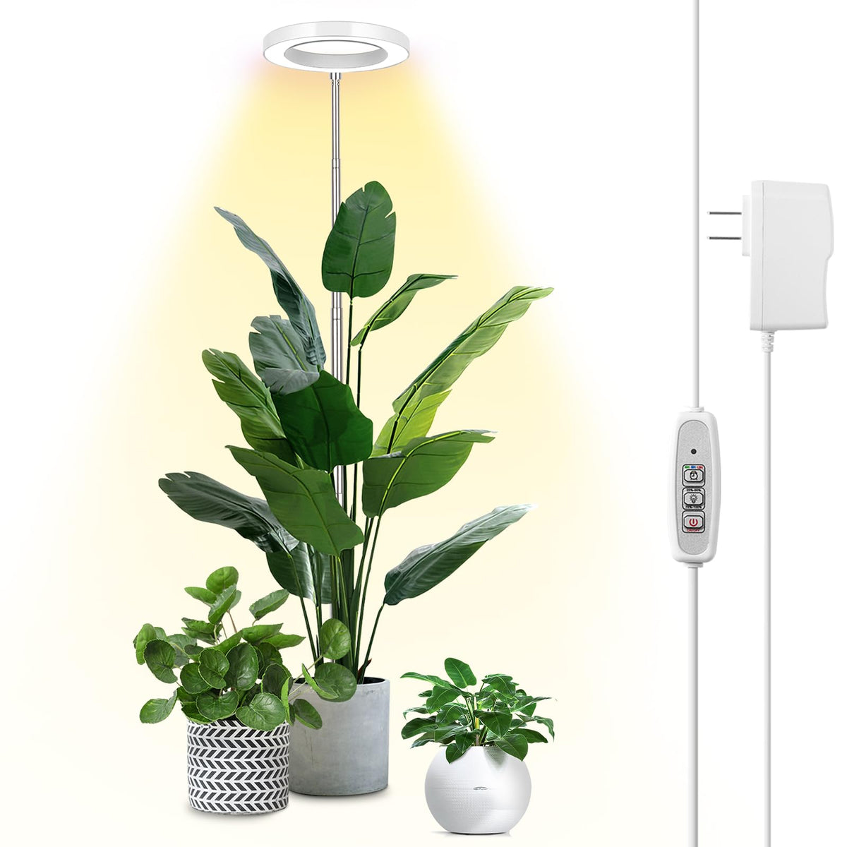 height of grow light from plants LBW Plant Grow Light