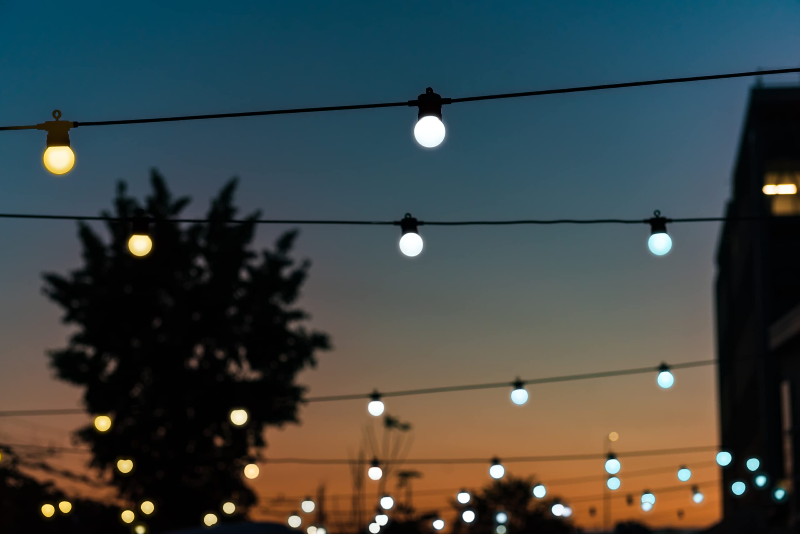 Twinkly Festoon Light Chain with 20 White LEDs, 33ft Outdoor/Indoor, IP44, Alexa/Google Home Compatible, Black Cable