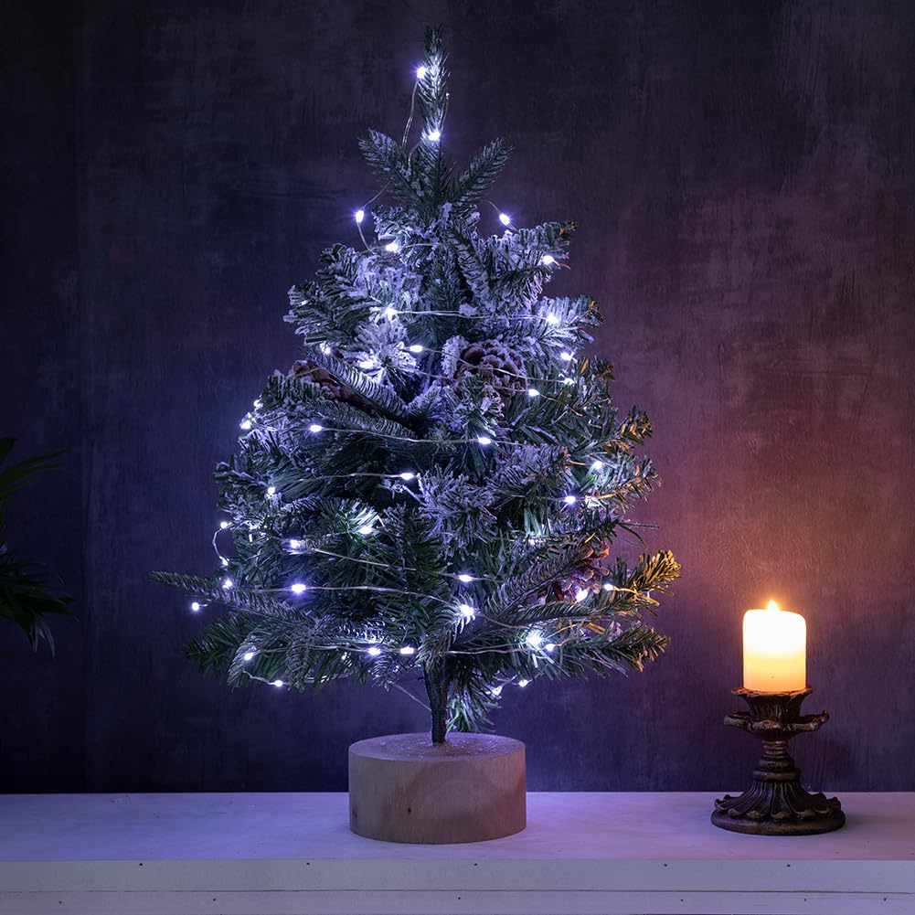 ZELUXDOT 200FT Waterproof Fairy Lights with 600 LEDs, Remote Control, 8 Modes, Cool White - Perfect for Indoor/Outdoor Decorations