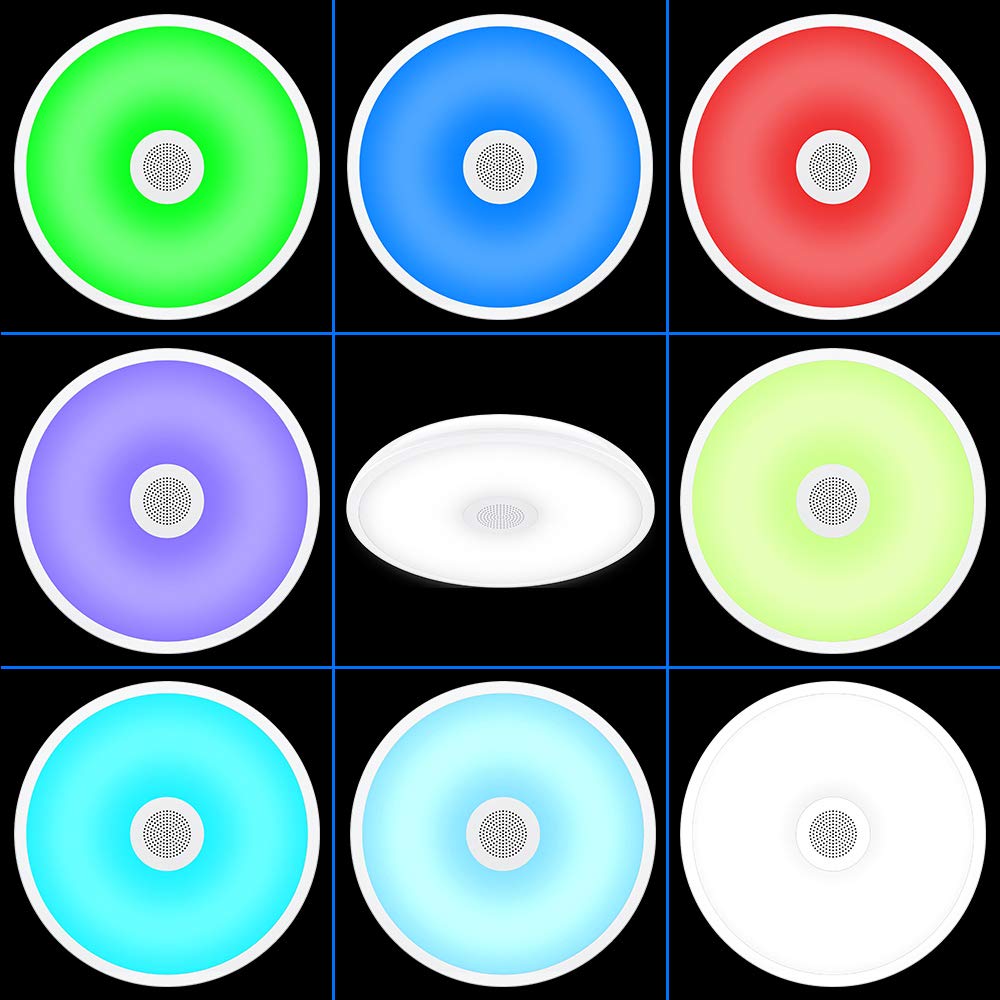 Horevo 18W Led Waterproof Ceiling Light With Bluetooth Speaker & Remote, Color Changing, White