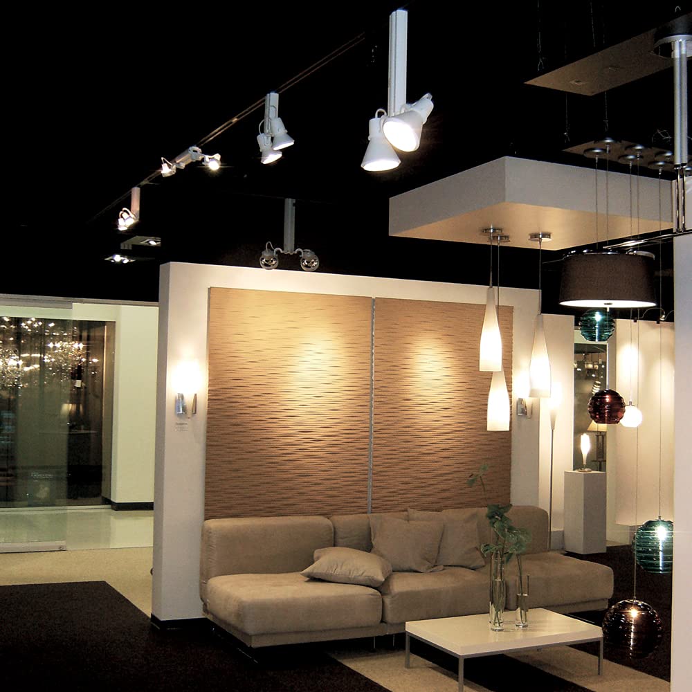 Jesco Lighting Hmh914P3870-S Contempo 914 Series Metal Halide Track Light Fixture, Par38, 70 Watts, Silver Finish