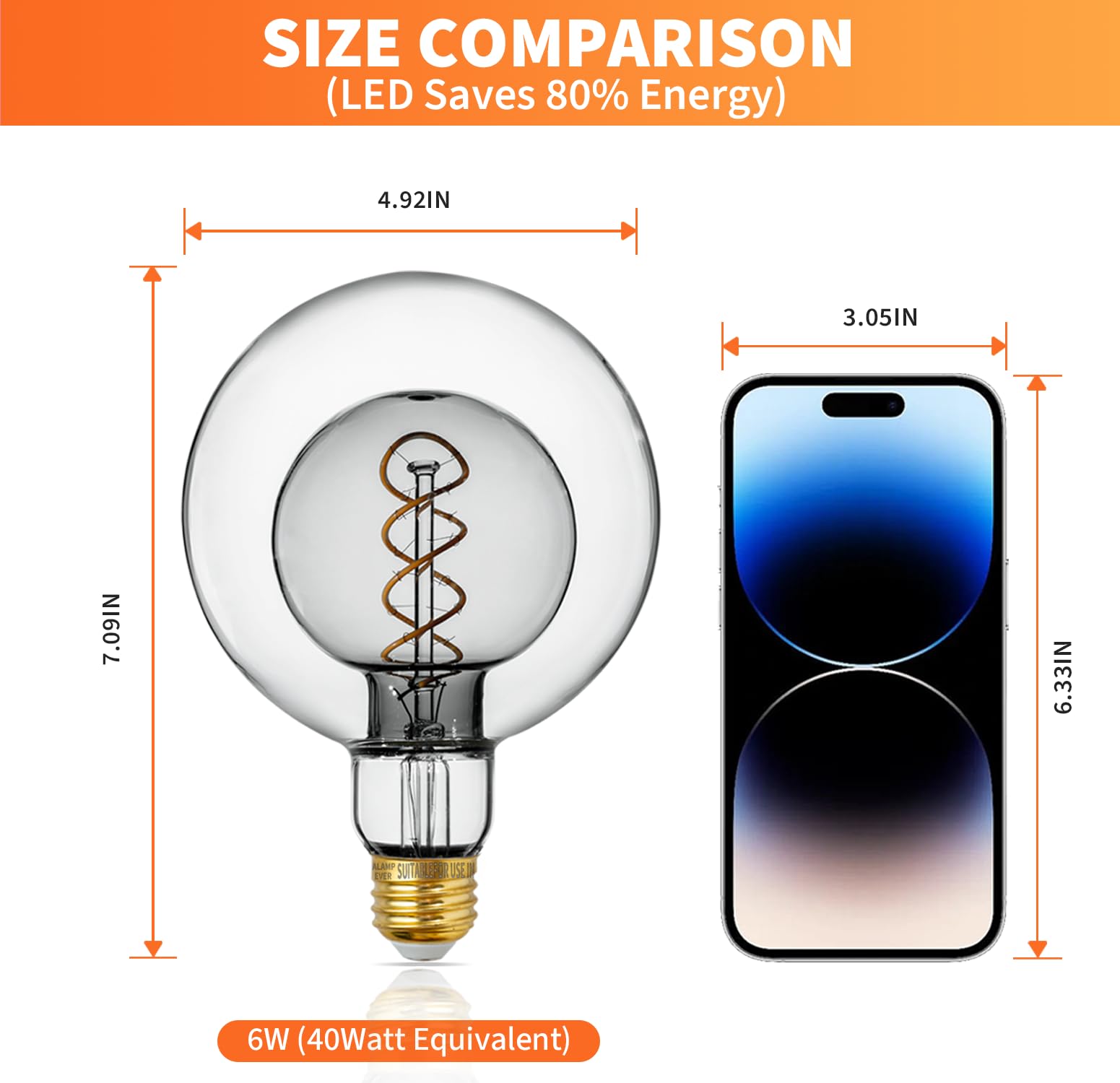 ALAMPEVER Large Globe LED Light Bulbs 6W Equivalent 40W 2700K Soft White E26 Base G125 Smoky Grey