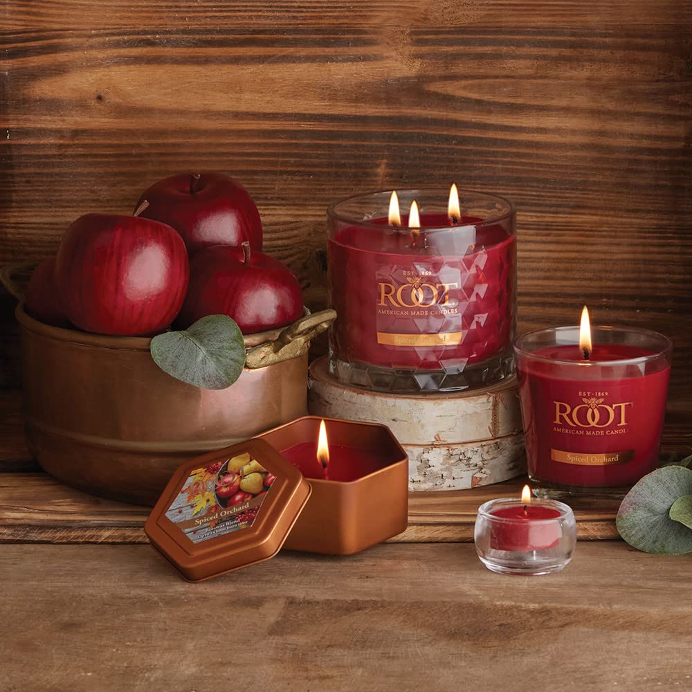 Root Candles Scented Tealights Handcrafted Beeswax Blend 4-Hour Tealight Candles, 8-Count, Spiced Orchard