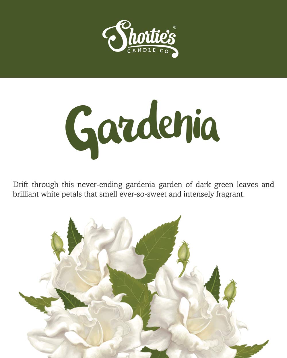 Pure Gardenia Premium Tealight Candles Bulk Pack - Highly Scented With Essential & Natural Oils - 24 White Tea Lights - Beautifu