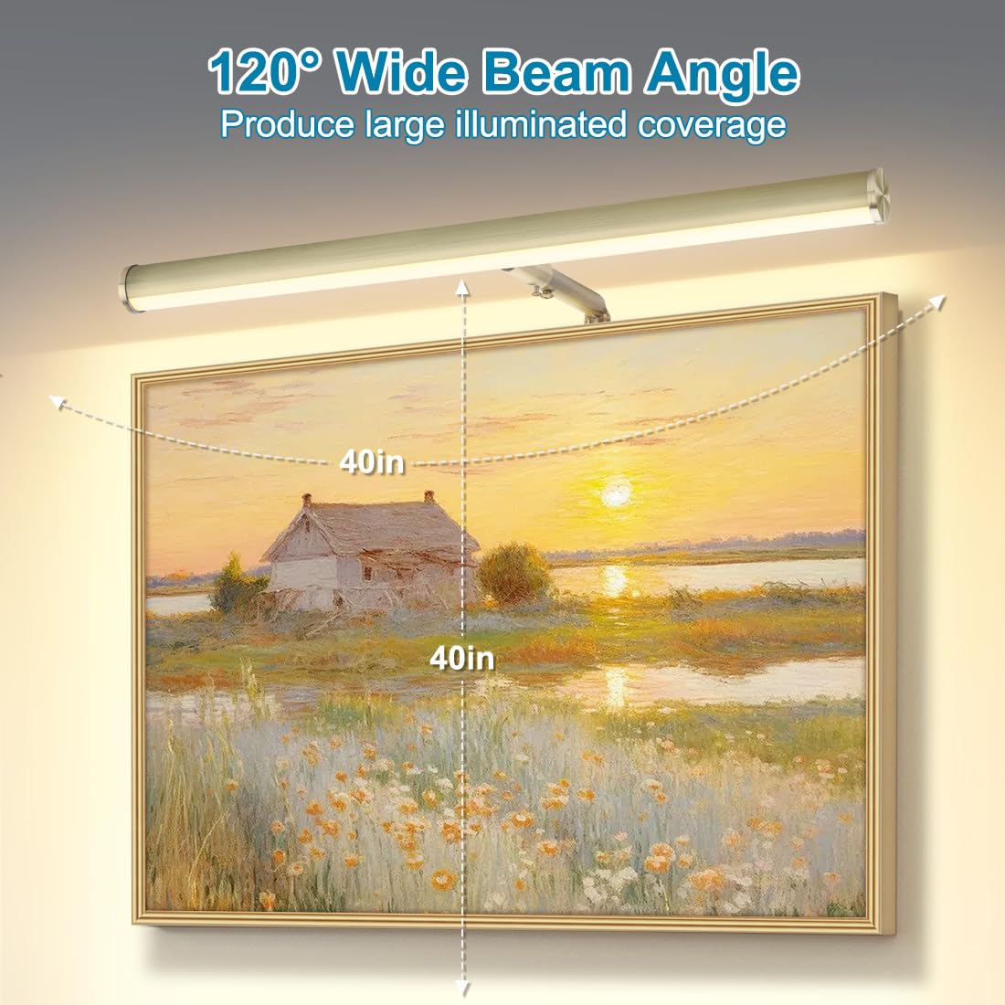 Xbuyee Led Picture Lights For Paintings Plug In, 16Inch 6W Adjustable Art Light Gallery Wall Light For Display Art Work, Antique