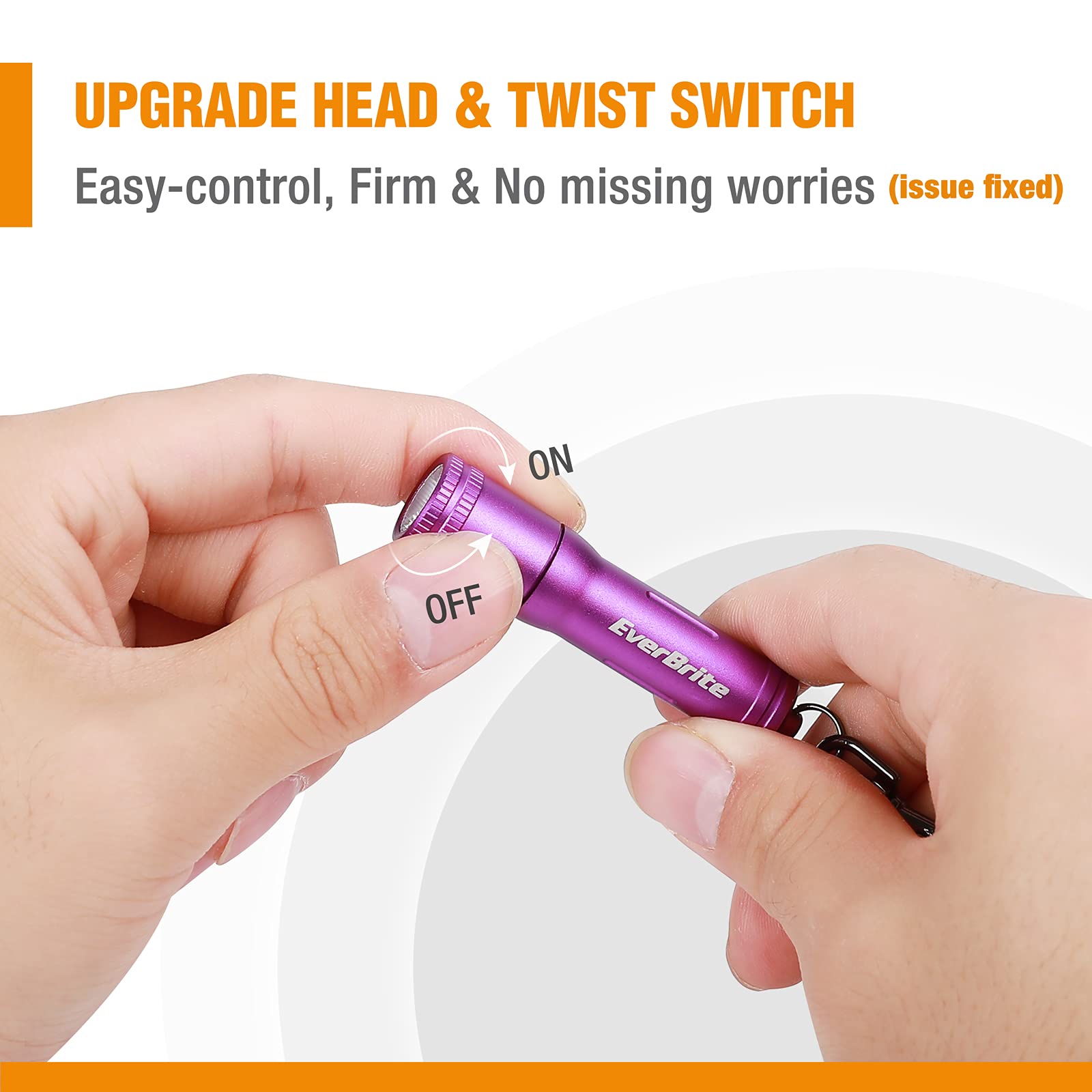 EverBrite Keychain LED Flashlight Mini Portable Torch, Purple, Model E011146AE, Metal, AAA Battery Included
