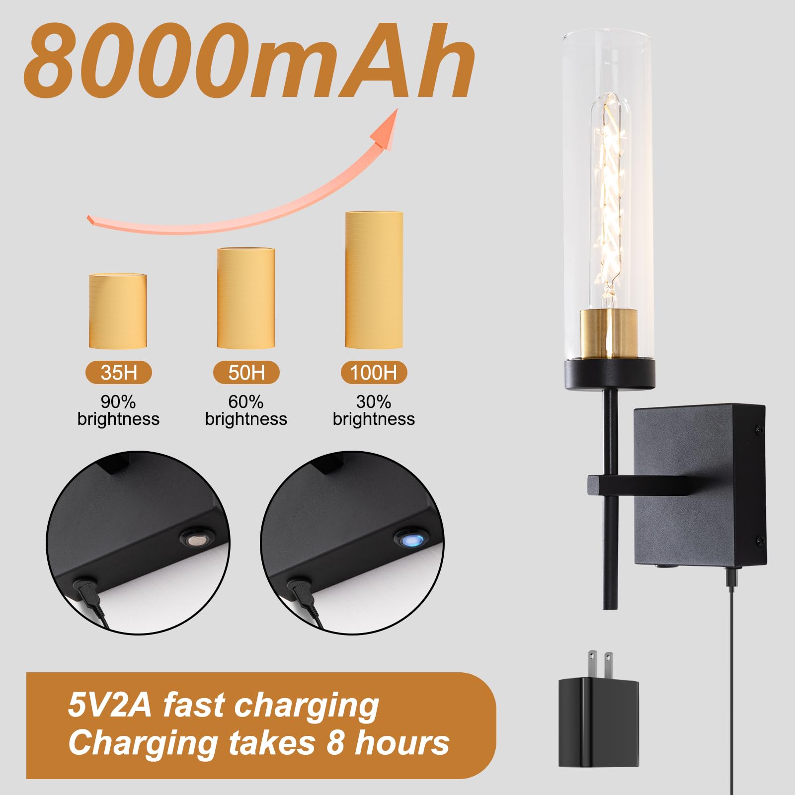 Loiogohot Wall Sconce - Battery Operated, 8000mAh, 100 Hours, Infinitely Dimmable, Dual Color Temperature, Black & Gold, Model WL-BN