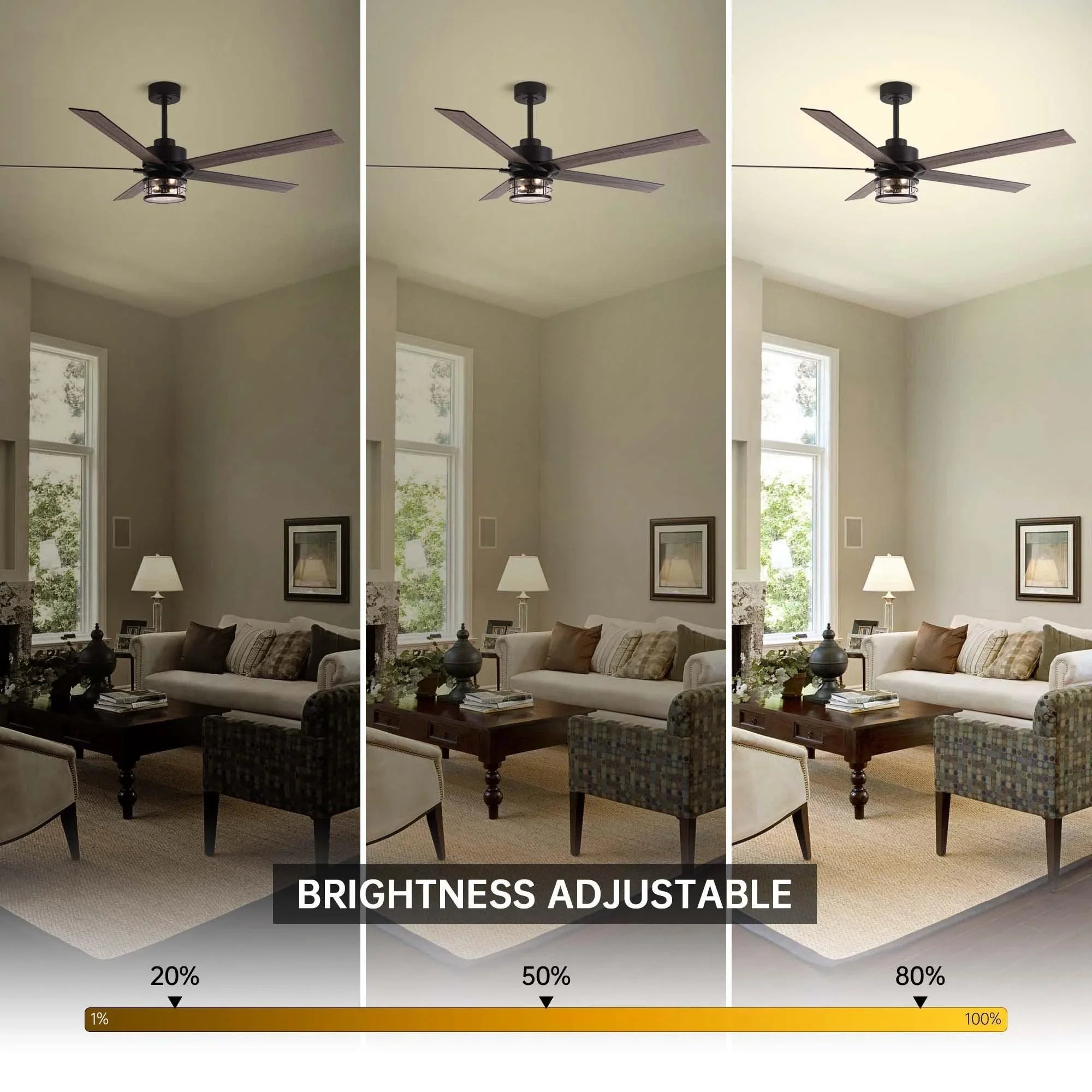 65" Modern DC Motor Downrod Mount Reversible Ceiling Fan with Lighting And Remote Control