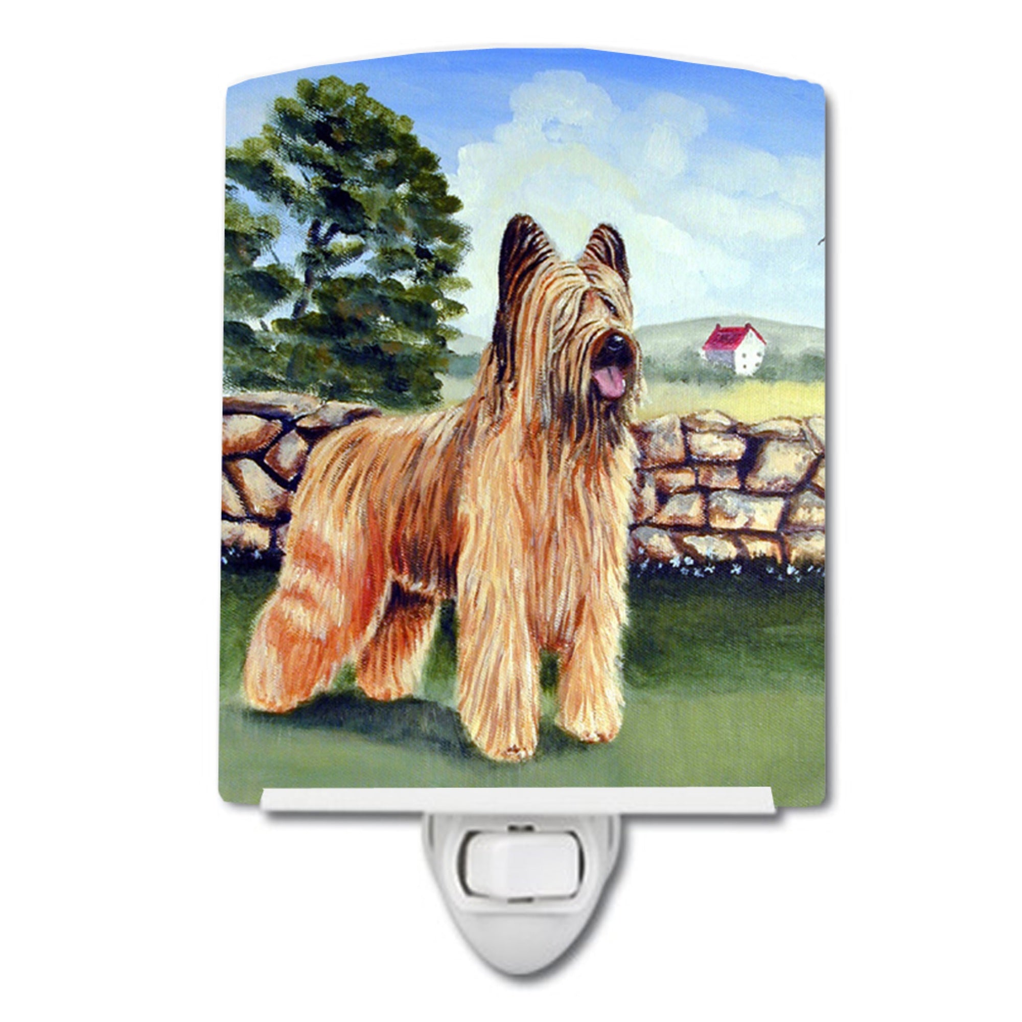  inchCarolines Treasures Briard Ceramic Night Light, 6x4, Multicolor inch