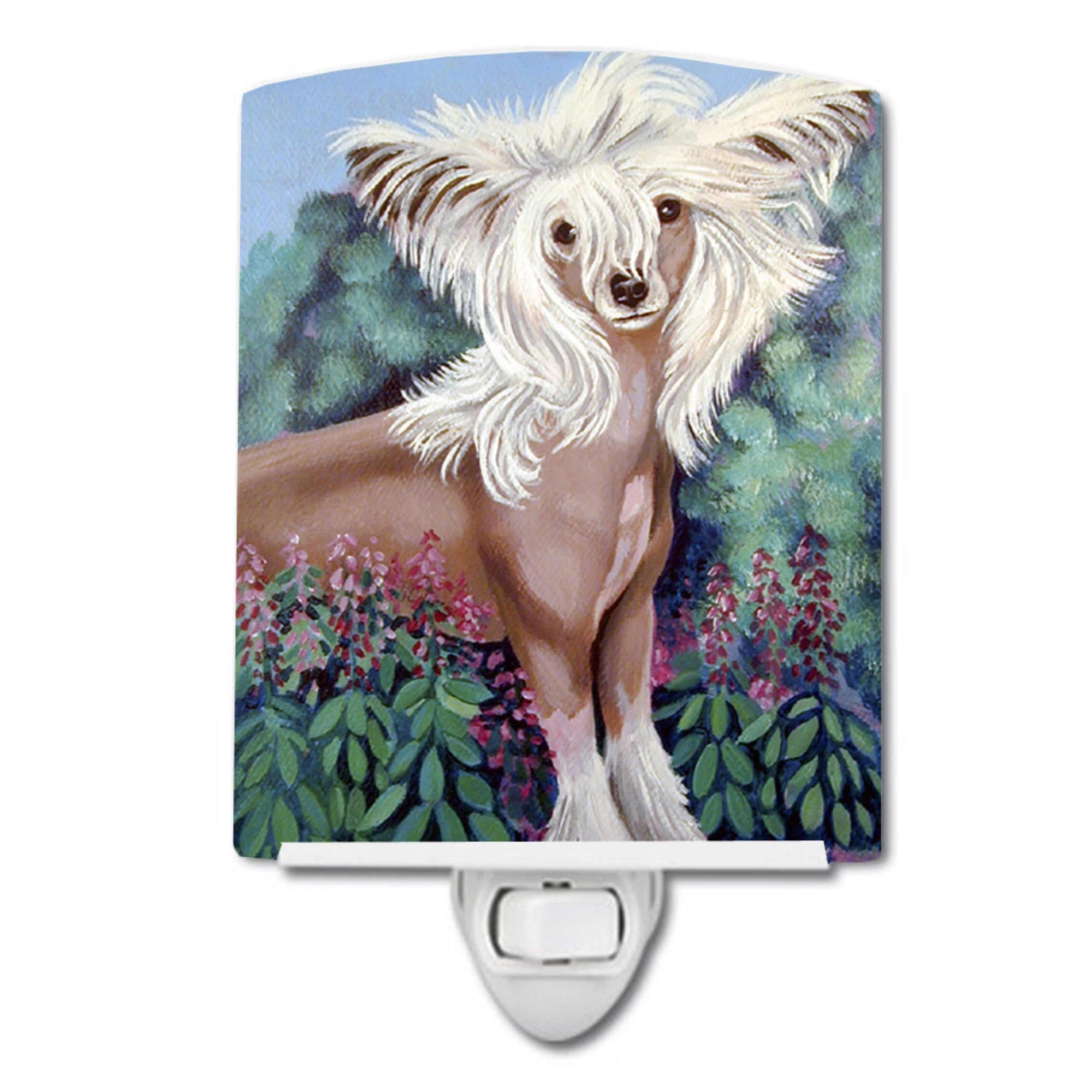  inchCarolines Treasures Chinese Crested Ceramic Night Light, 6x4, Multicolor inch