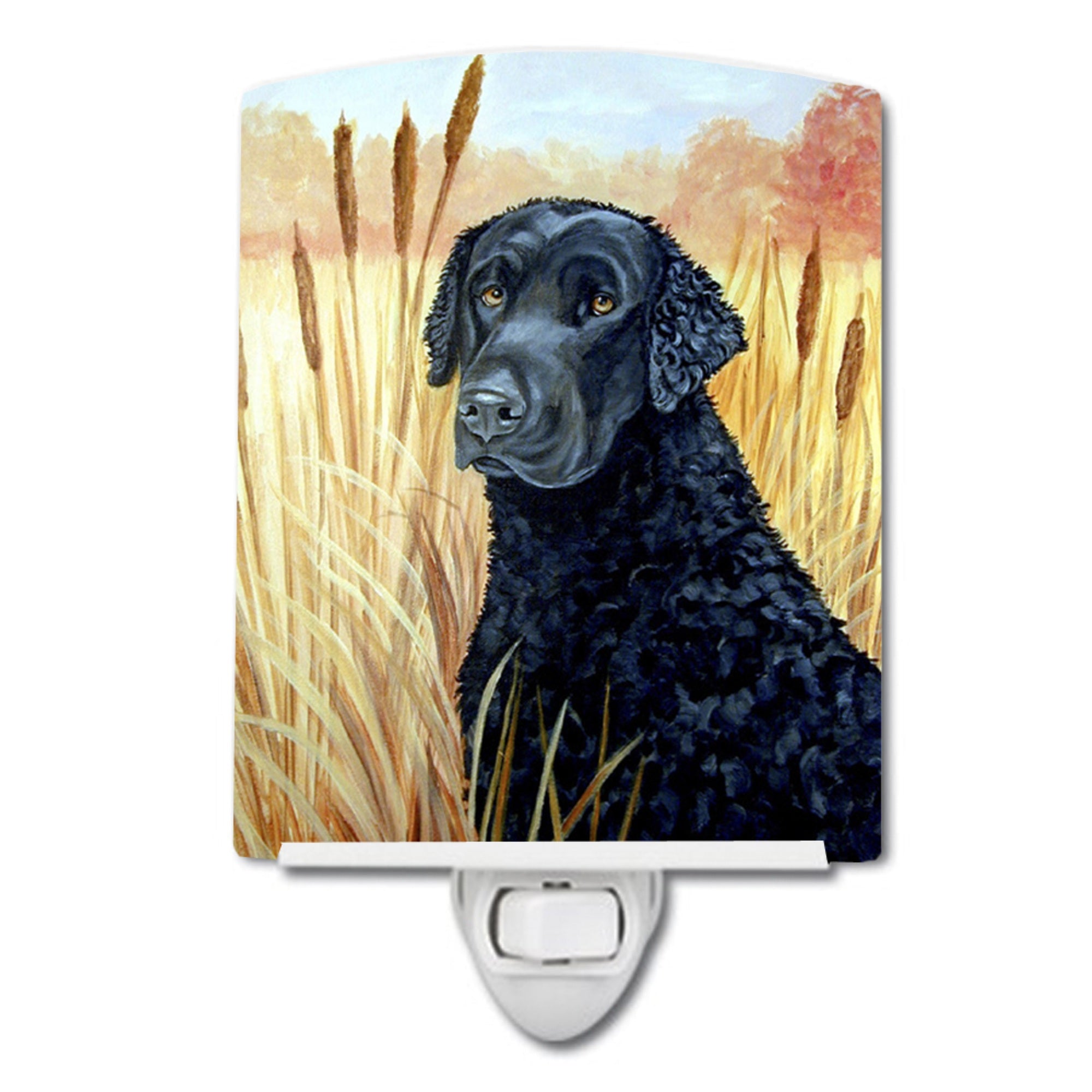  inchCarolines Treasures Curly Coated Retriever Ceramic Night Light, 6x4, Multicolor inch