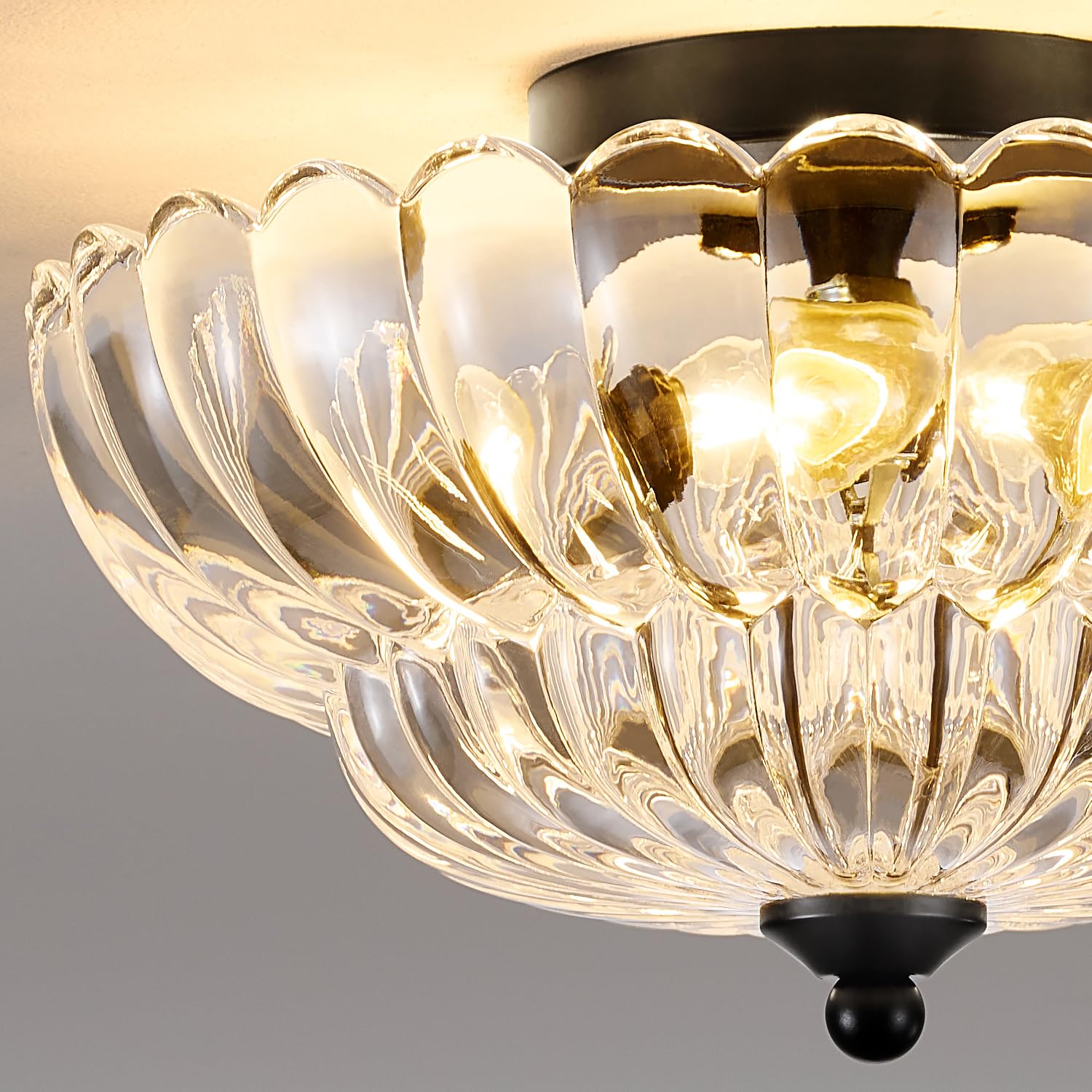 Haodengshi Modern Black Ceiling Light Fixture, 12" Clear Glass Flush Mount for Living Room, Hallway, Kitchen, Bedroom, Model HDS-XDD007