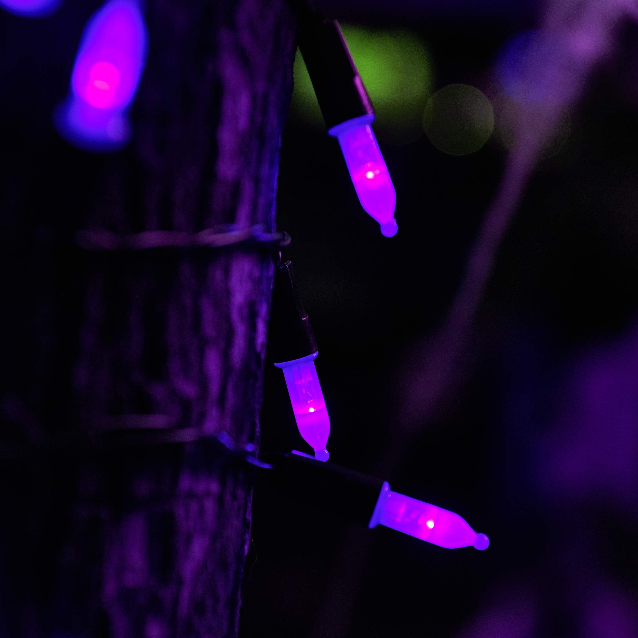 Twinkle Star Outdoor Halloween Lights, 50 LED Mini String Light, 16ft Waterproof, 8 Modes, Purple, 2 Pack