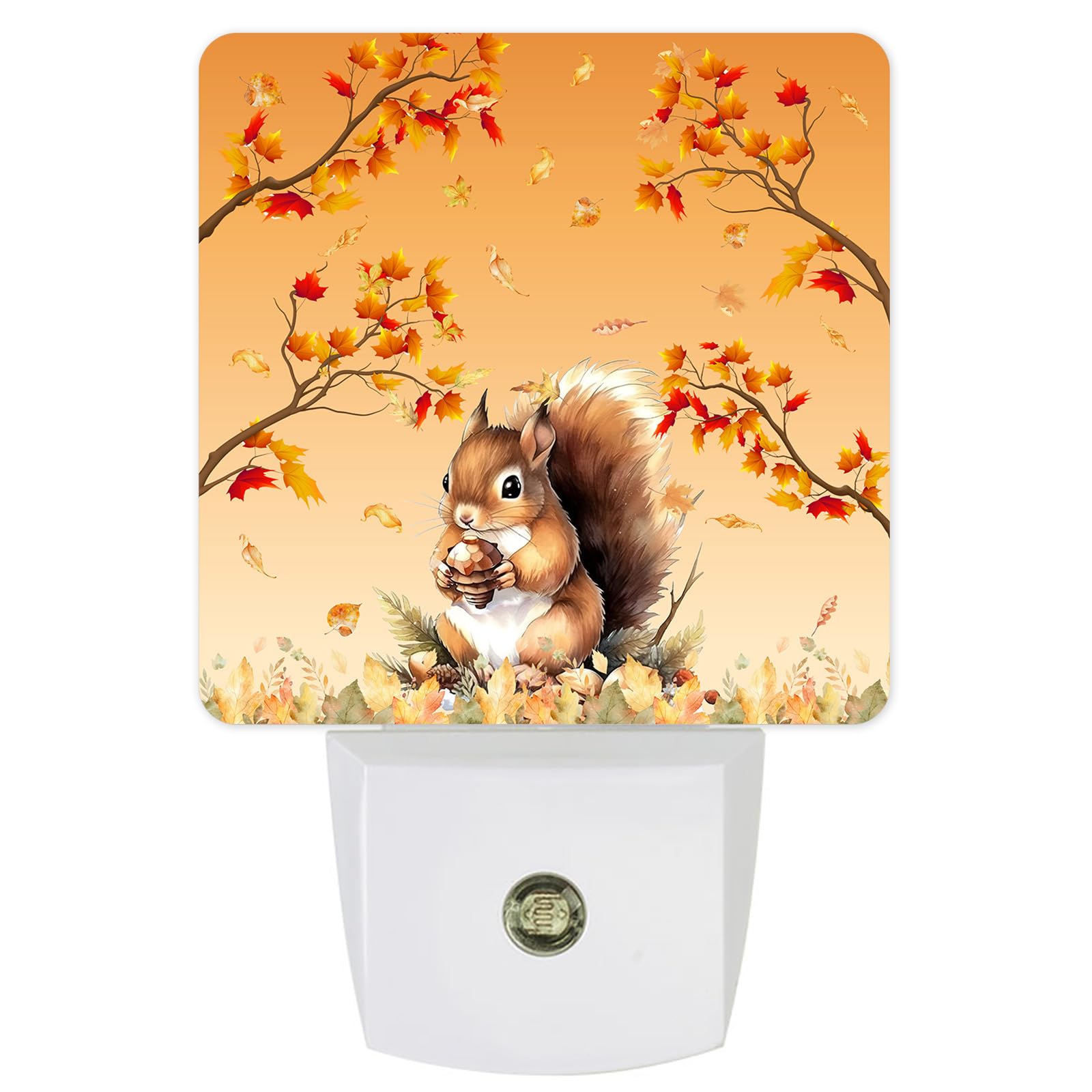 Night Light Plug in LED Night Lamp Automatic Sensor Kids Night Lights Plug into Wall, Thanksgiving Fall Autumn Squirrel Maple Le