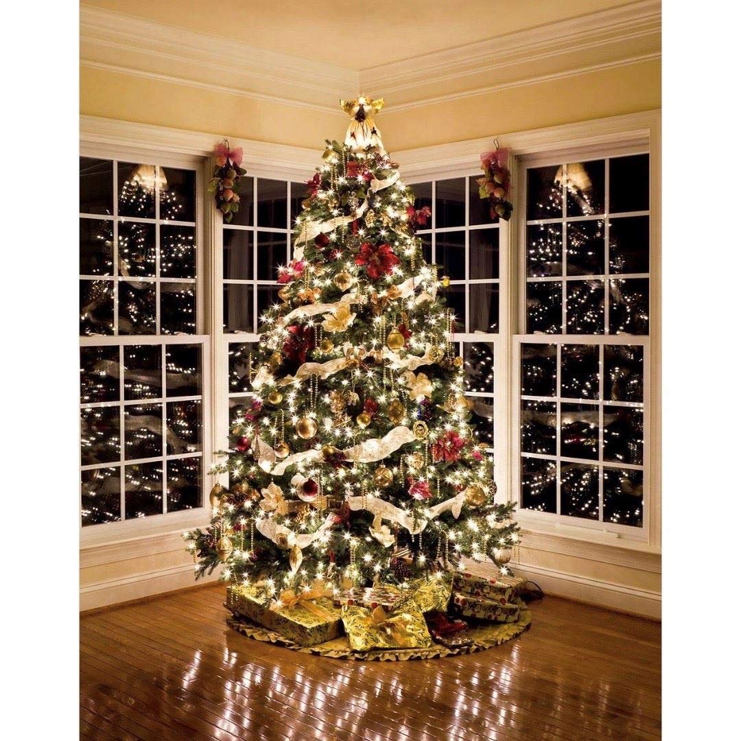Novelty Lights 50ft Clear Incandescent Mini Lights, Green Wire, 100 Bulbs, Commercial Grade, UL Listed for Indoor/Outdoor Use, MRD-25B-4