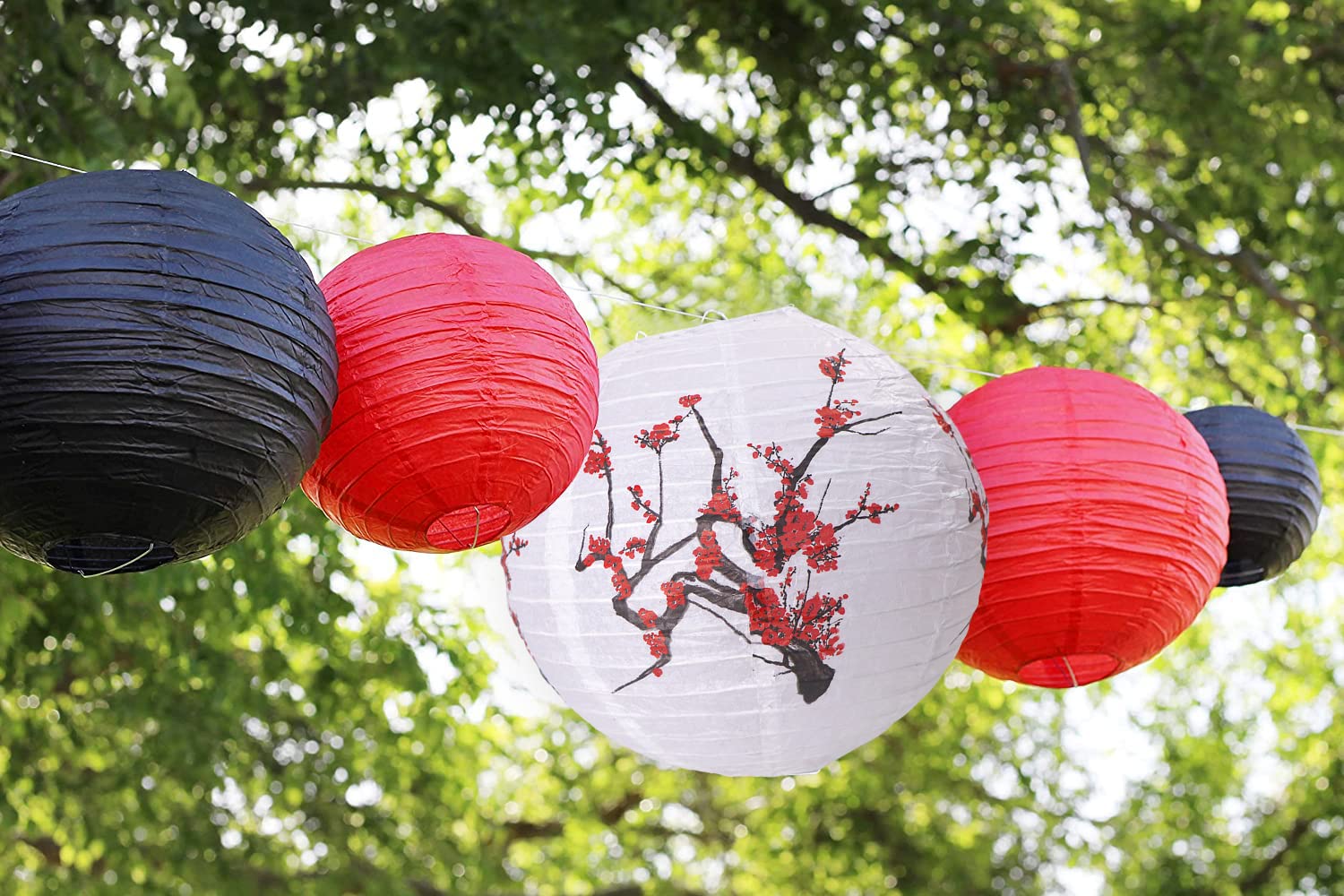 Kaxixi Chinese Japanese Paper Lanterns, Hanging Cherry Plum Blossom Round Party Lanterns For Oriental Restaurant Wedding Birthday Party Mid Autumn Festival Decorations