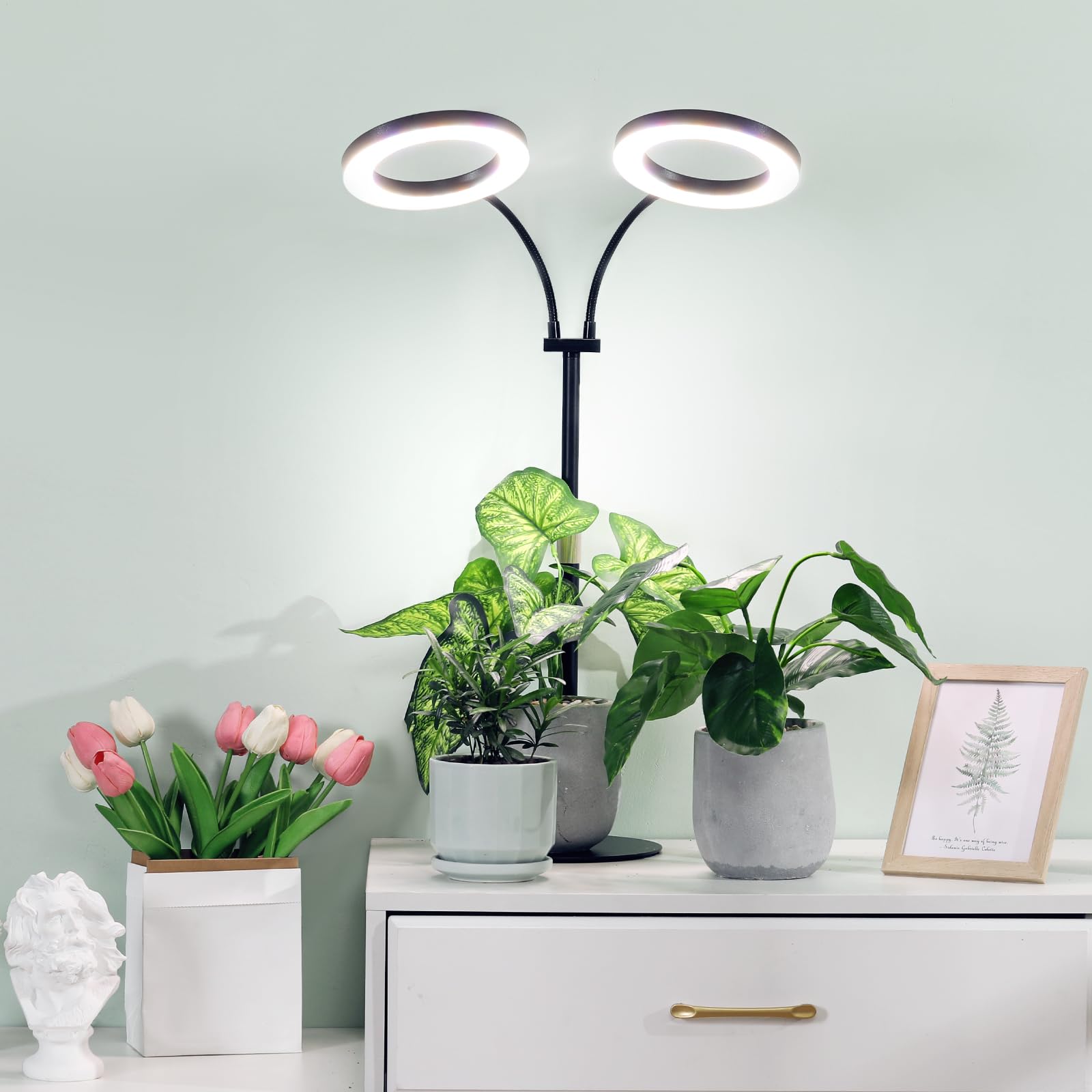 Lbw Grow Light For Indoor Plants Full Spectrum, Plant Lights For Indoor Growing, Led Plant Lamp For Indoor House Plant With Auto Timer, Adjustable Height And Brightness