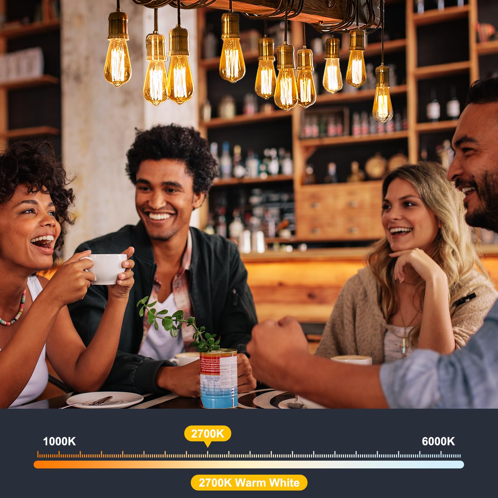 Brightown 12 Pack Led Edison Bulbs, 6W, Equivalent 60W, High Bright 2700K Warm White,750 Lumens, Non-Dimmable, E26 Medium Base S
