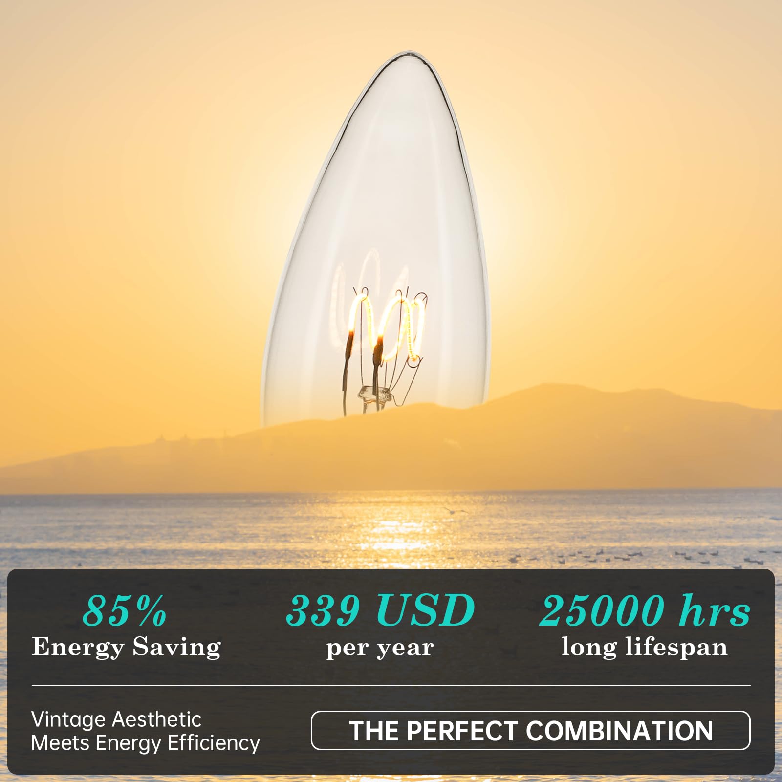 Amdtu E12 25 Watt Equivalent Clear Small Base Led Bulb Candelabra Candle Ca10 Dimmable Ideal Chandelier Light For Dining Rooms A