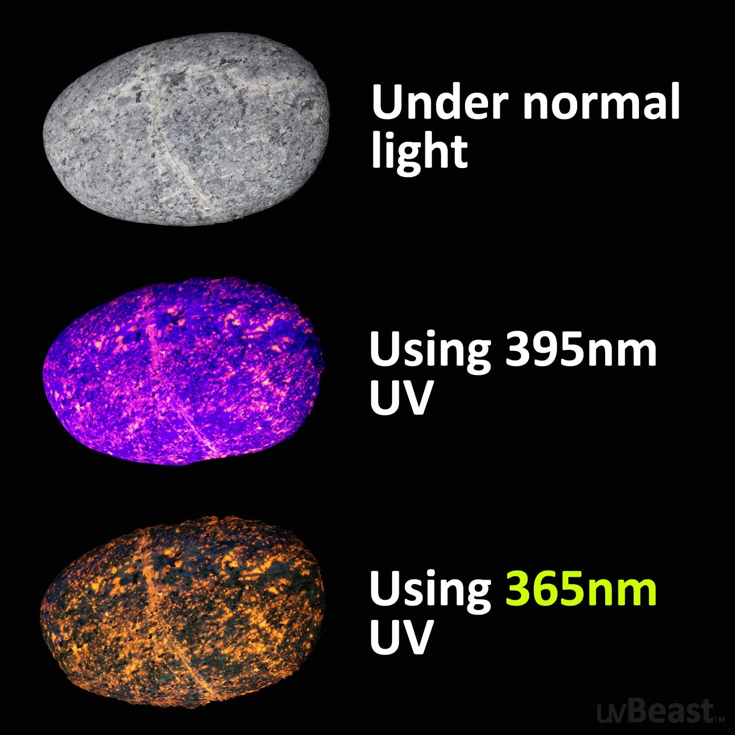uvBeast UV Flashlight V3 365nm - High Power Ultraviolet Beam, Metallic Black, Professional Grade, USA Stock