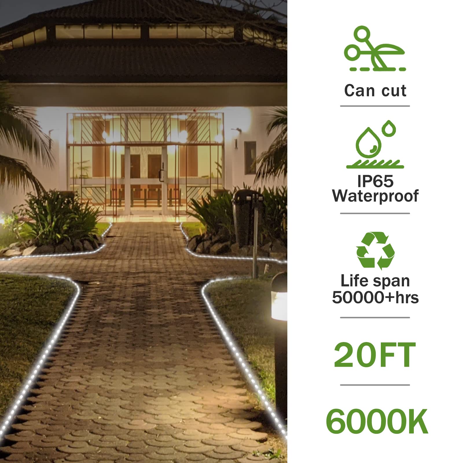 GUOTONG LED Rope Lights, Daylight White 110V 6000K, Indoor or Outdoor, 20ft, Perfect for Deck, Garden, Patio, Landscape Lighting