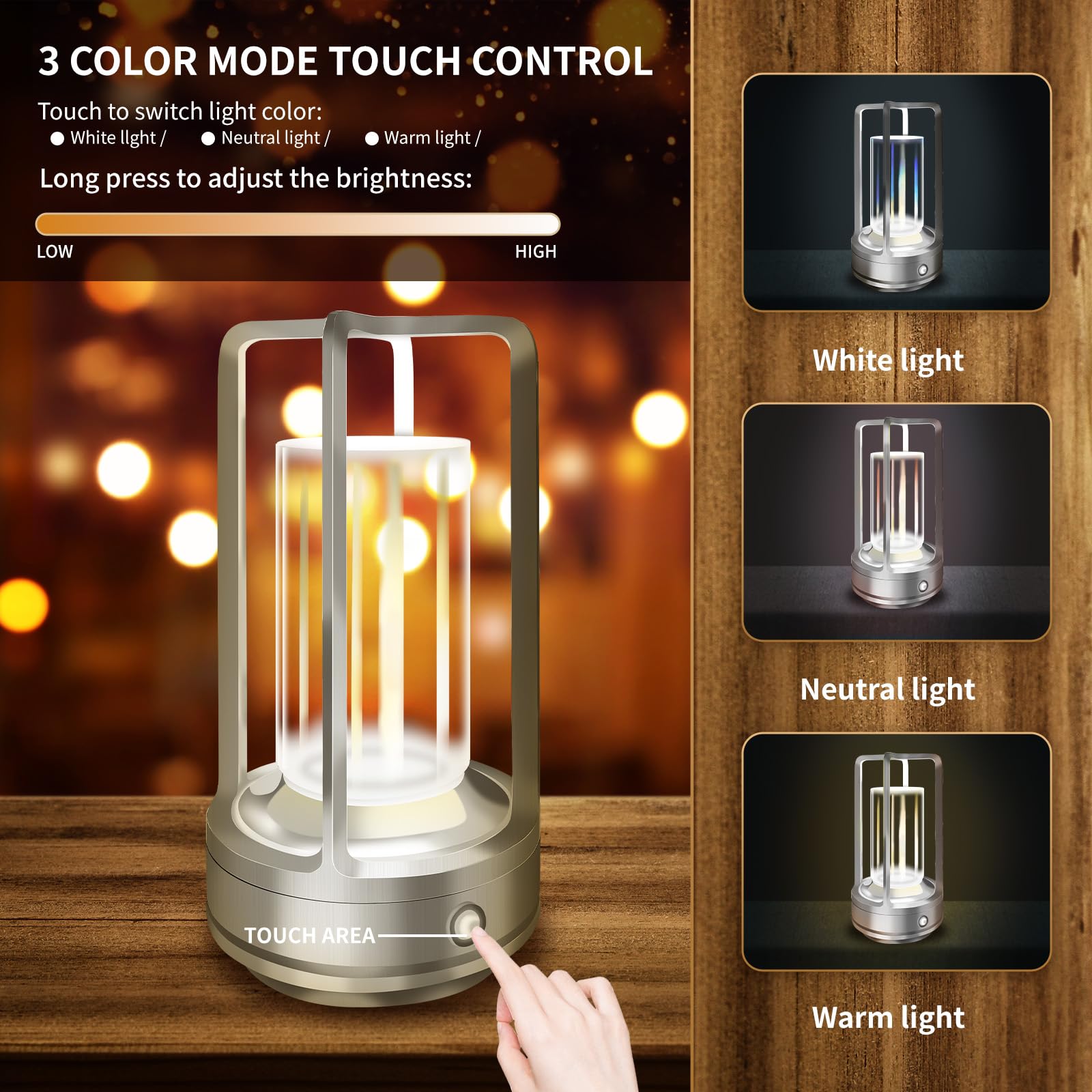 LAYSHINEEN Portable Metal Table Lamp, 4000 mAh Rechargeable Outdoor Table Lights, 3 Color Stepless Dimmable Cordless Table lamp