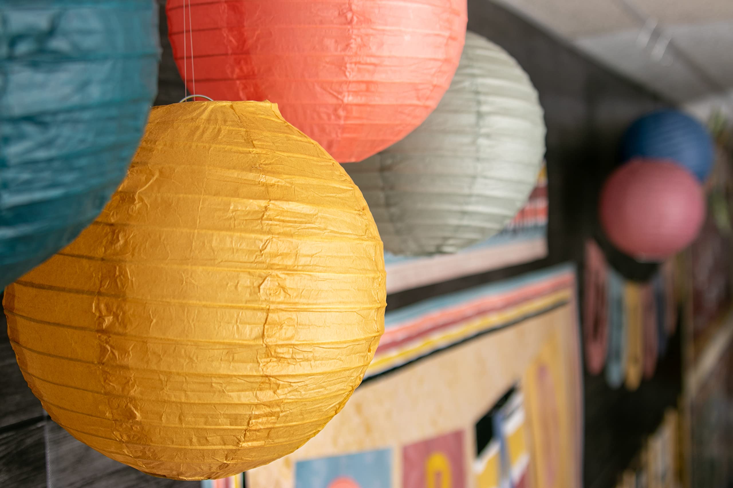 Teacher Created Resources Wonderfully Wild 8" Hanging Paper Lanterns