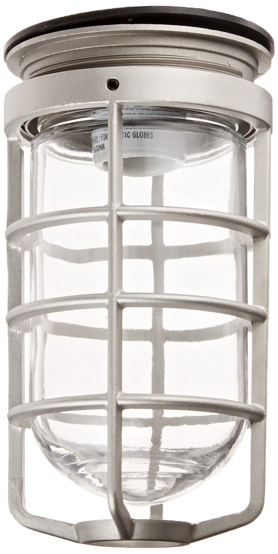 Rab Lighting Vc100Dg Vaporproof Vc Ceiling Mount With Glass Globe And Cast Guard, A19 Type, Aluminum, 100W Power, Natural