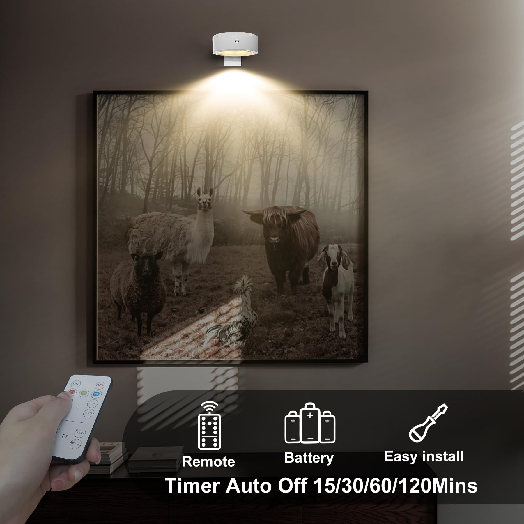 3-Pack Battery Operated Picture Lights Magnetic Painting Light With 3 Lighting Modes,Remote And Timer Art Display Light For Pict