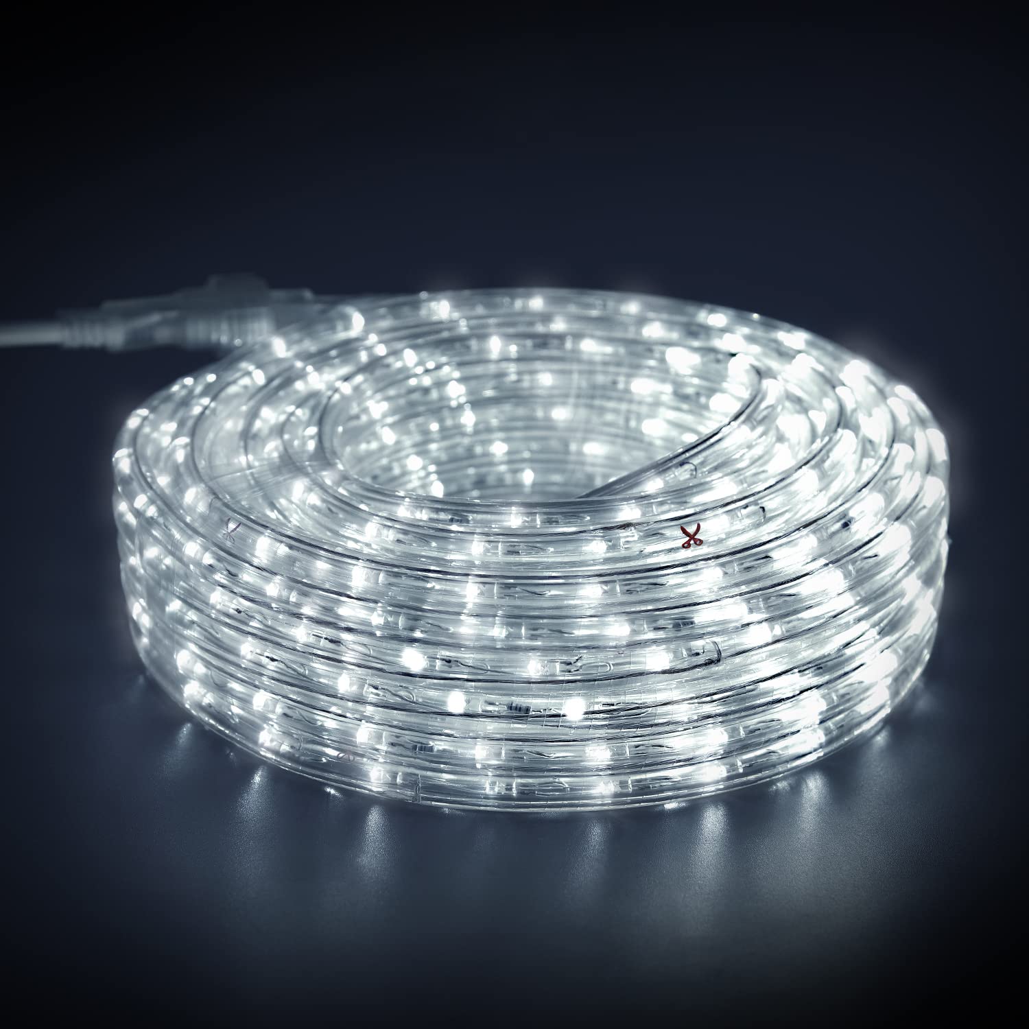 GUOTONG LED Rope Lights, Daylight White 110V 6000K, Indoor or Outdoor, 20ft, Perfect for Deck, Garden, Patio, Landscape Lighting