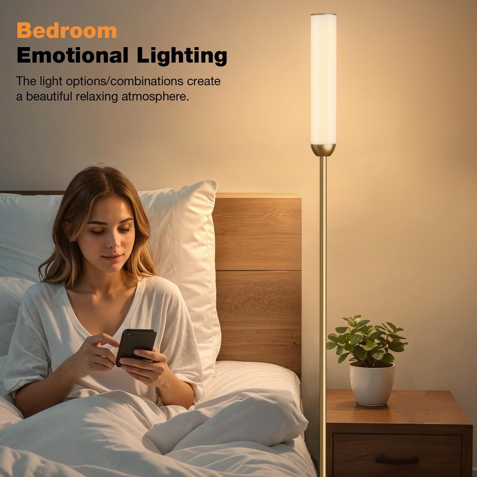 Ambimall LED Floor Lamp with Remote Control, 65in Adjustable 3000K-6500K, 5%-100% Brightness, Gold, Model RPT-ZGLED1-
