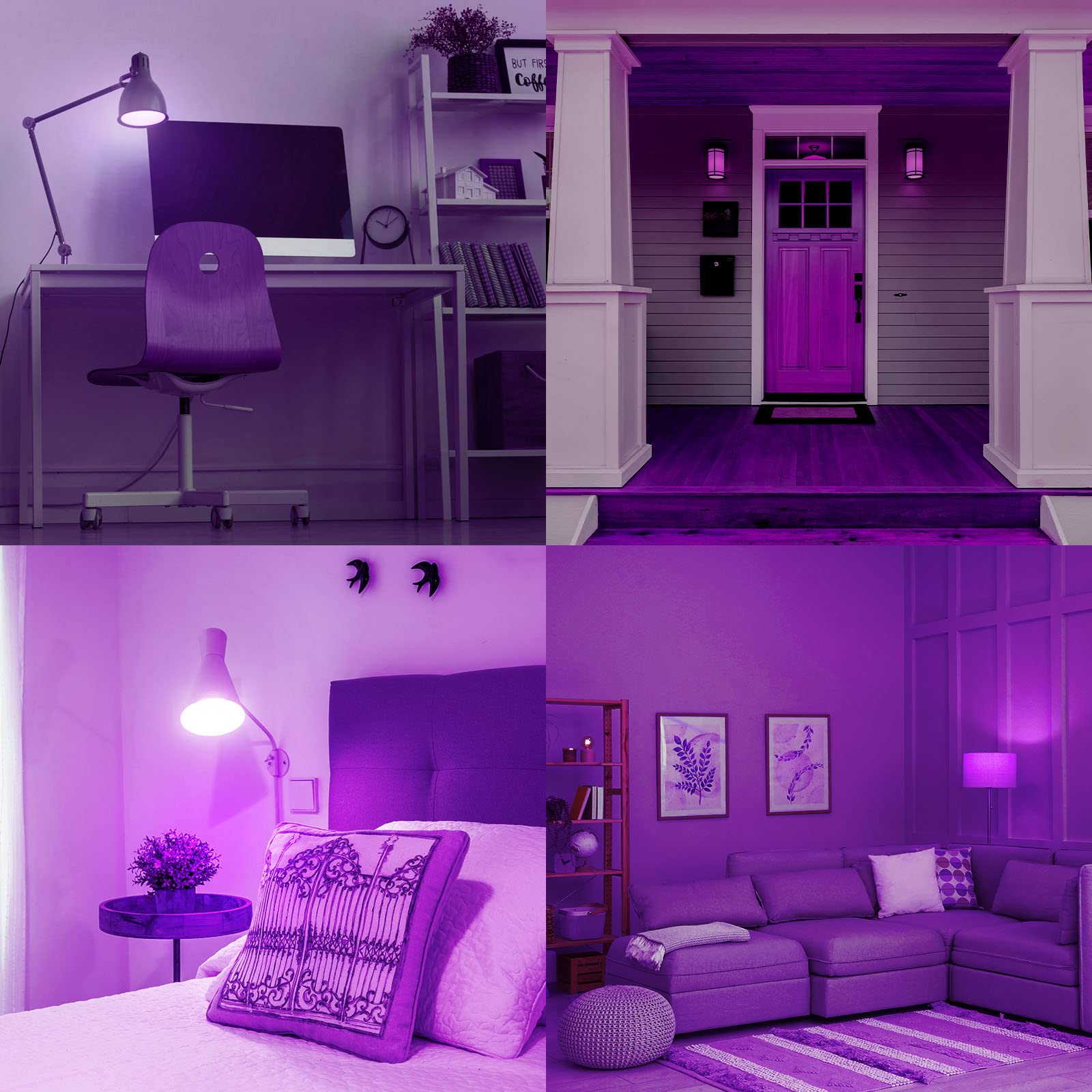 Luxrite E12 Led Filament Purple Light Bulbs, 4.5W (40W Equivalent), Colored Glass Candelabra Bulb, Ul Listed, E12 Base, Indoor O
