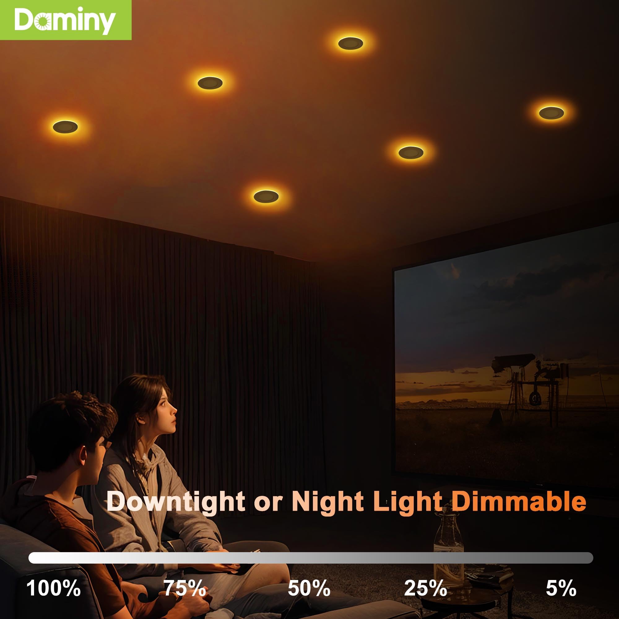 DAMINY 12 Pack 4 Inch LED Recessed Lights, 5CCT Dimmable, Ultra-Thin Canless Wafer, Night Light, Model P205C