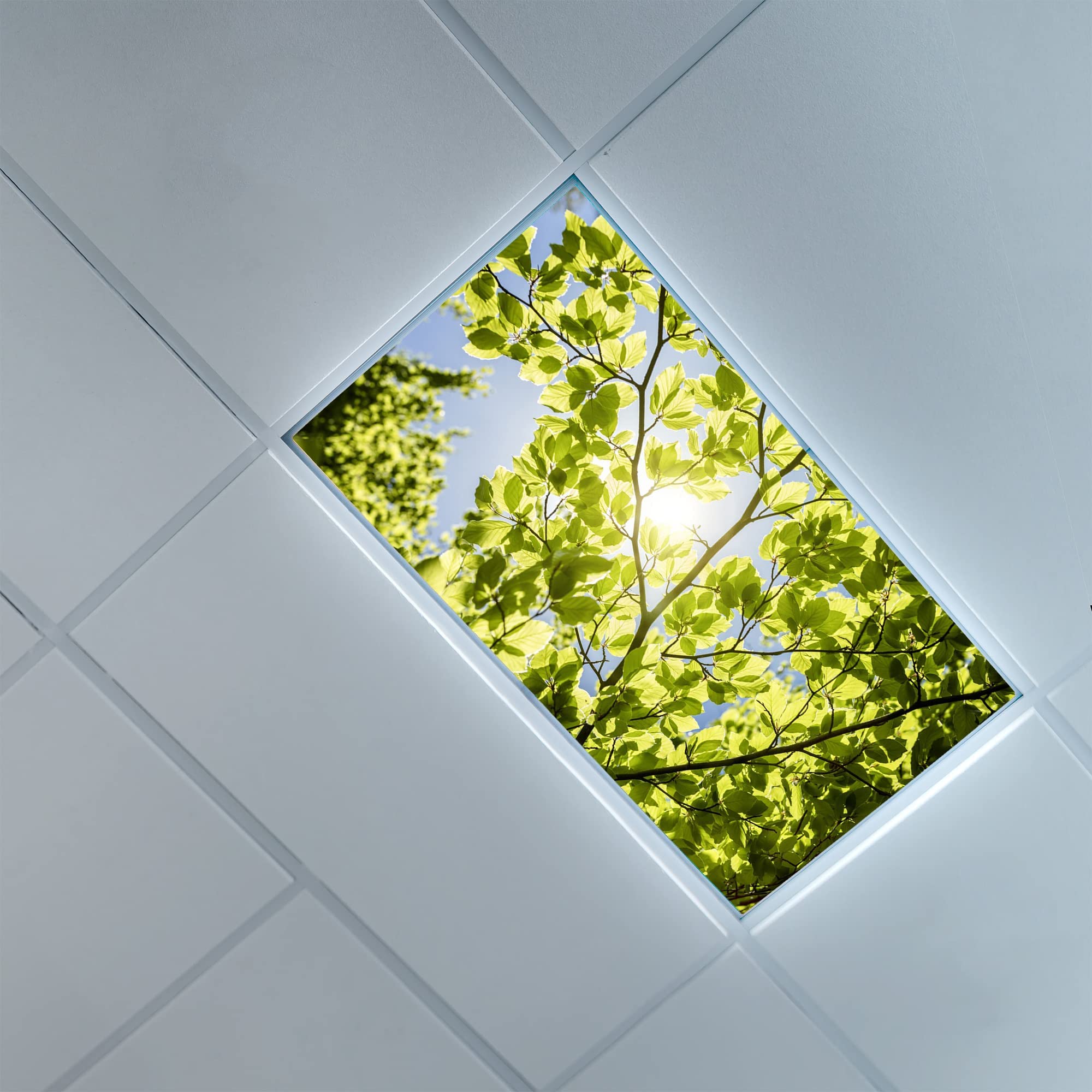 Lorougei Fluorescent Light Cover Decorative Ceiling Light Filters,Leaves Pattern,for Classroom Office Hospitals Home Ceiling Dec