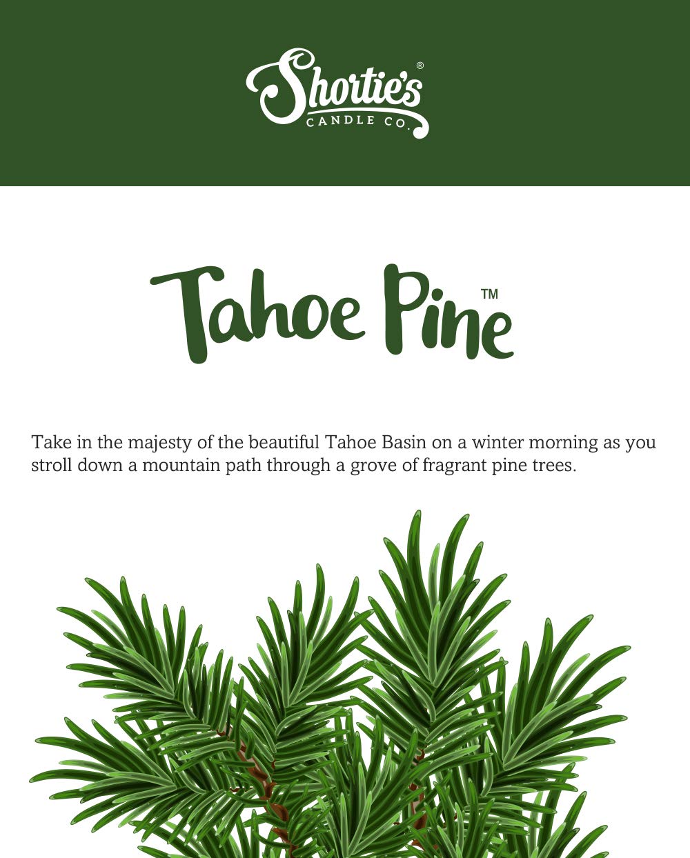 Tahoe Pine Premium Tealight Candles Multi Pack - Highly Scented With Essential & Natural Oils - 12 Green Tea Lights - Beautiful Candlelight - Made In The Usa - Fresh & Clean Collection