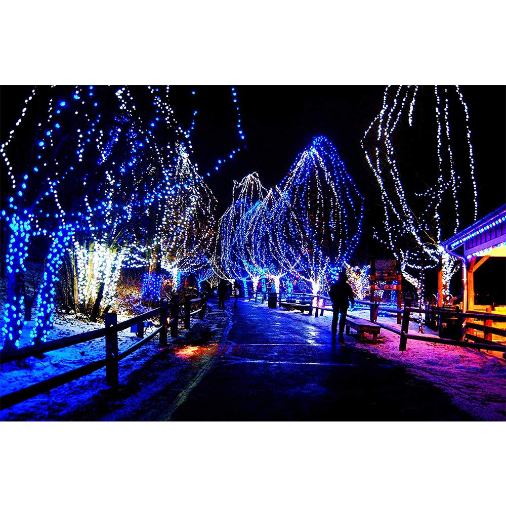 MYGOTO 33FT String Lights Waterproof Fairy Lights 100 LEDs 8 Modes Cool White+Blue Model BX