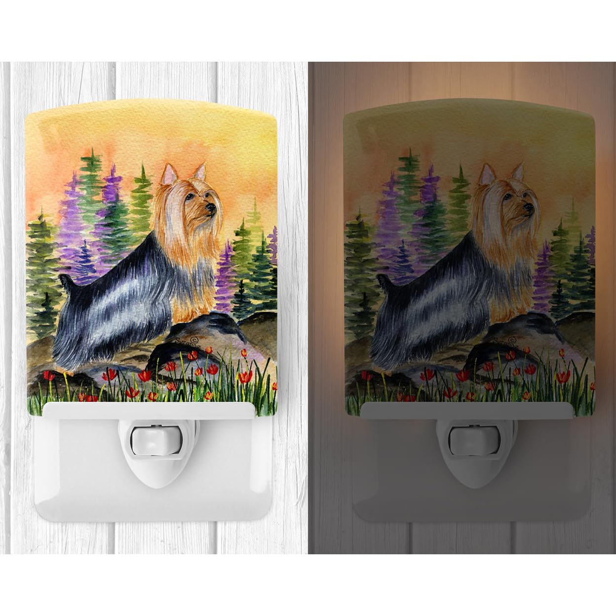 Carolines Treasures Ceramic Night Light, SS8262CNL, 6x4x3in, Multicolor, UL-Certified for Bedroom, Bathroom, Nursery, Kitchen