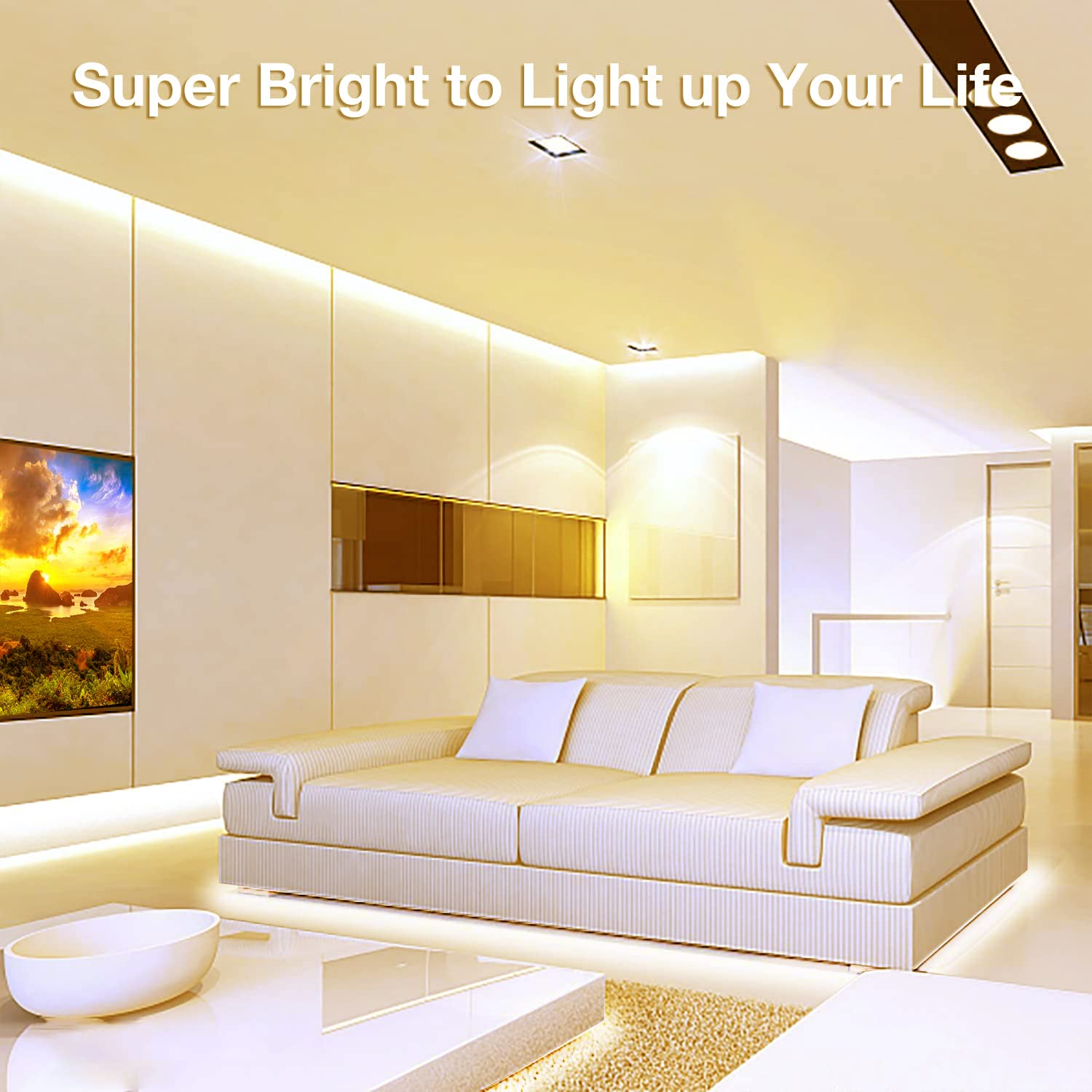 DAYBETTER COB LED Strip Lights, Dimmable 3000K, 16.4FT Warm White, Model DBCOB05WWUS, 1600 LEDs for Bedroom, Kitchen,