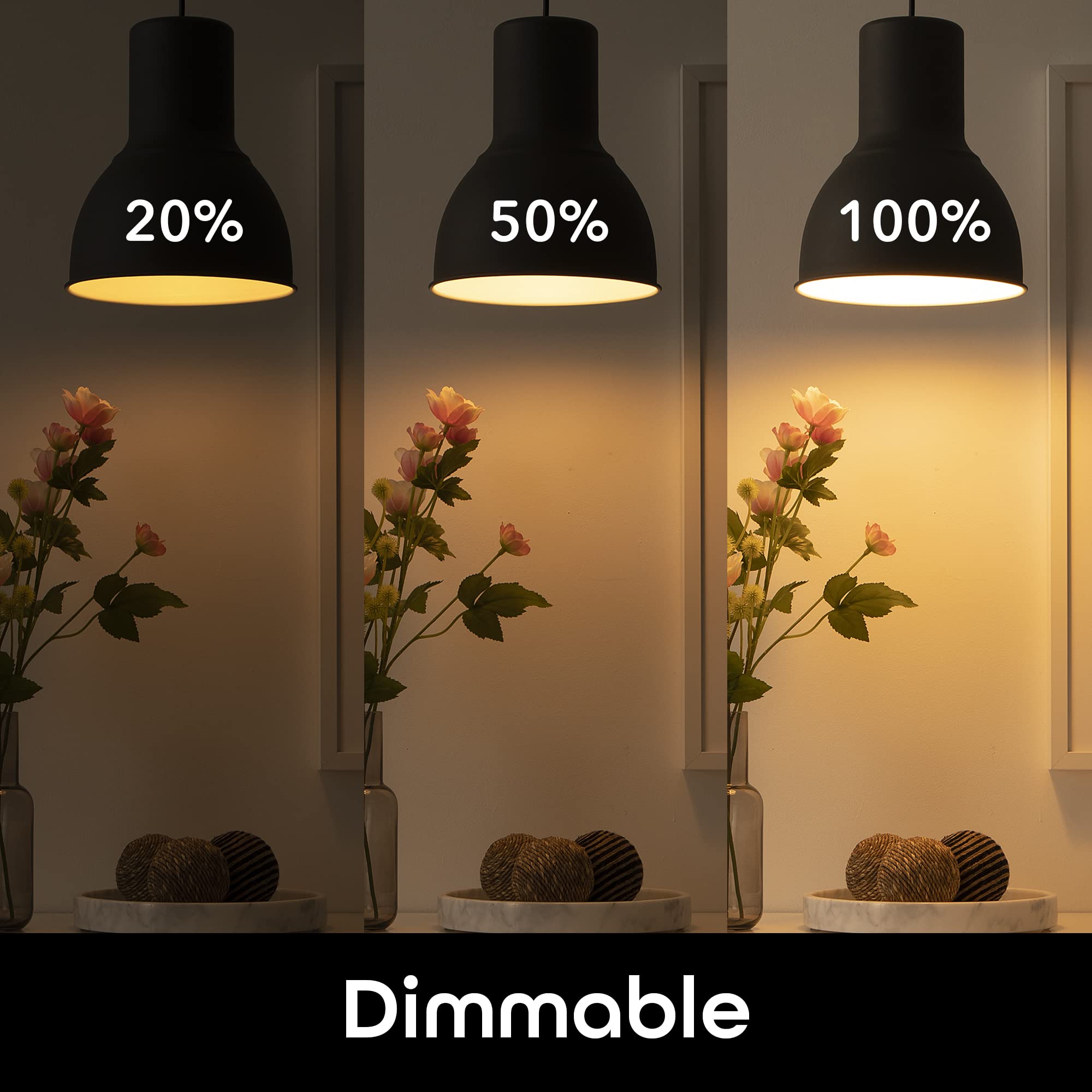 Geeni Prisma Smart Light Bulbs, 800 Lumens, Dimmable RGBW, A19, 2-Pack, Multicolor